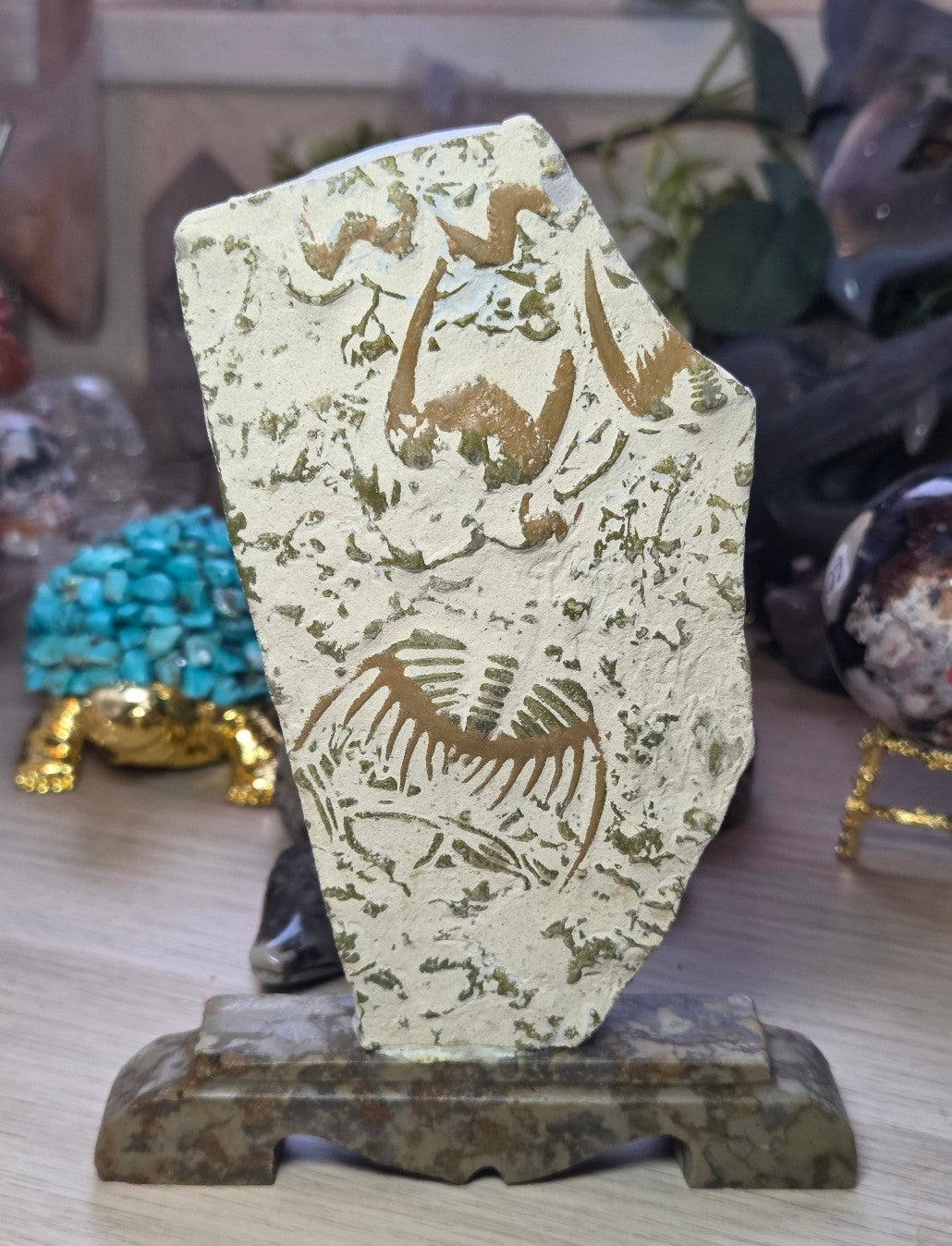 Fossils