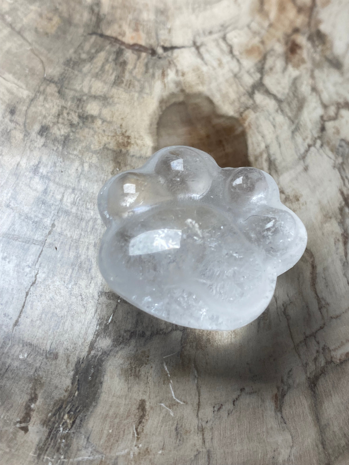Small paw print carving