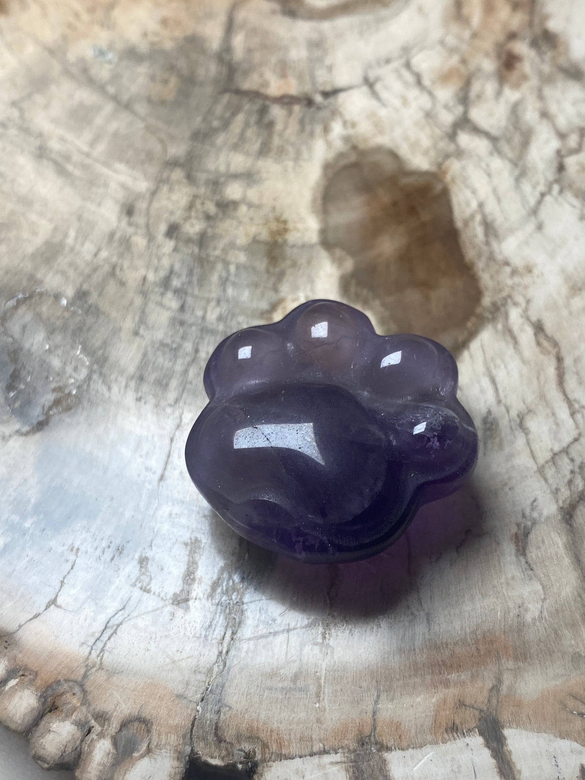 Small paw print carving