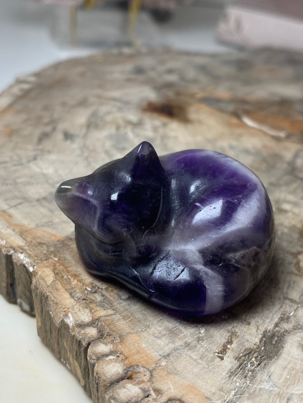 Small sleeping cat