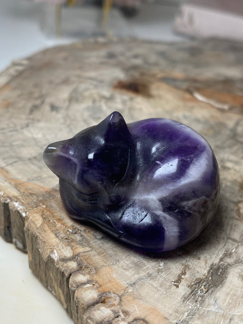 Small sleeping cat