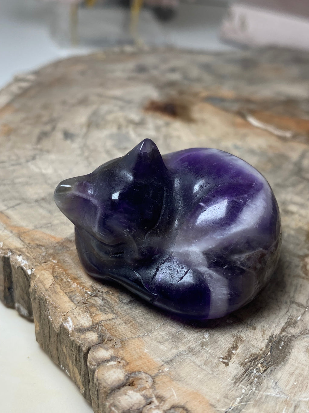 Small sleeping cat