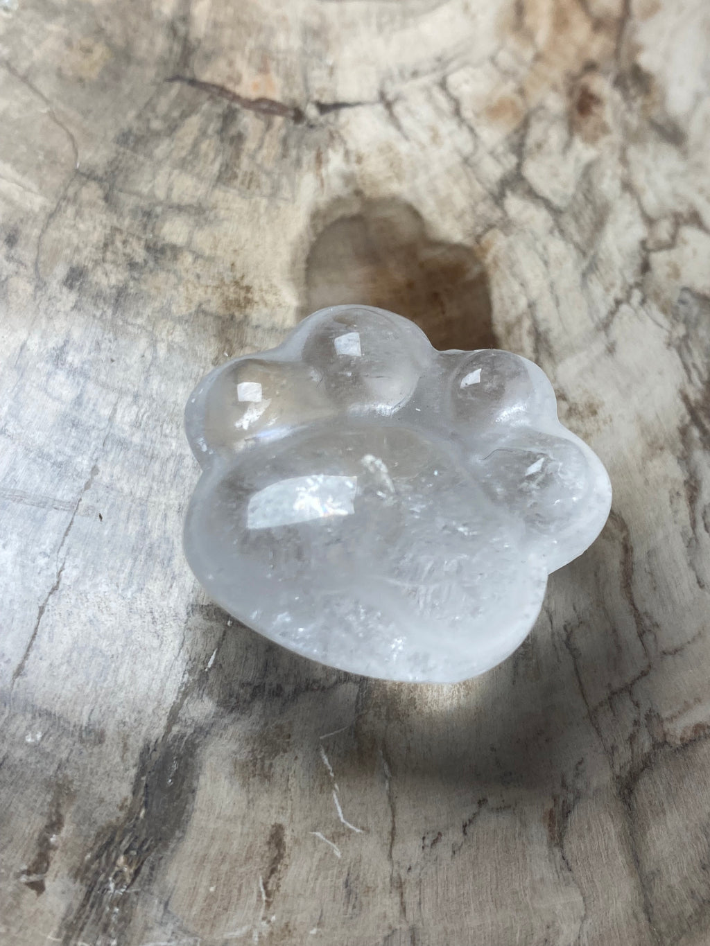 Small paw print carving