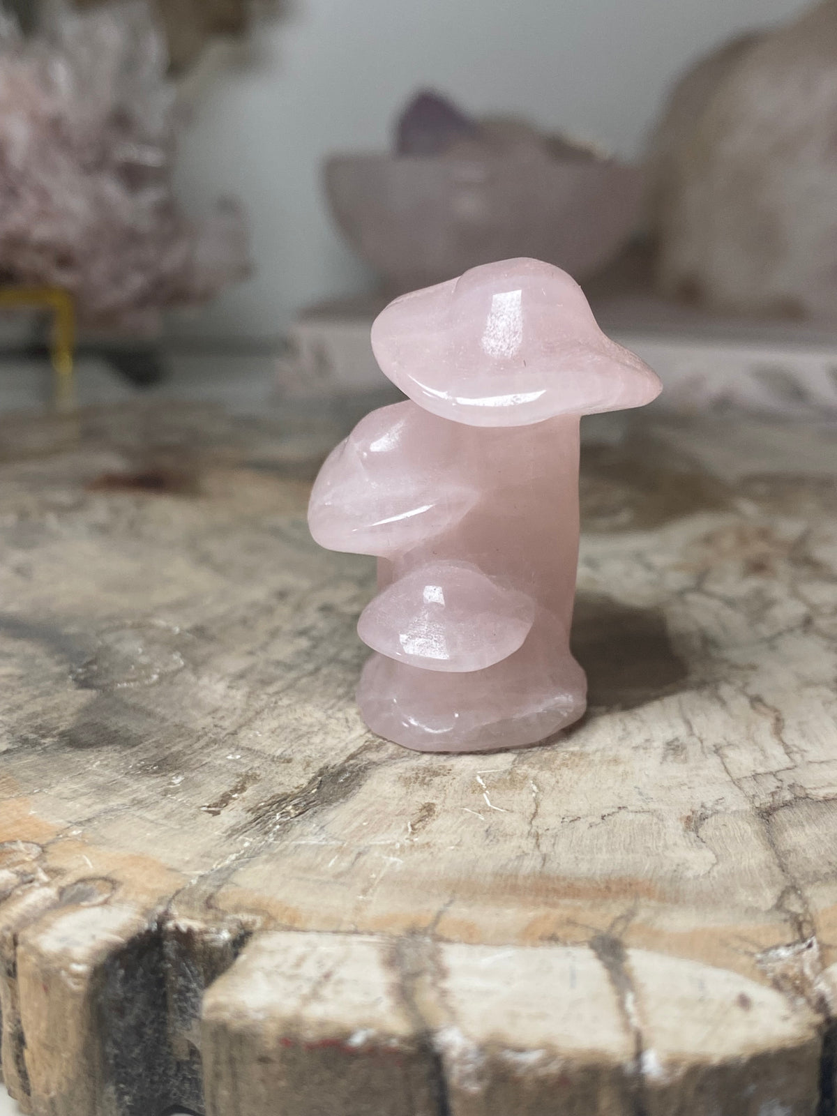 Small mushroom carving