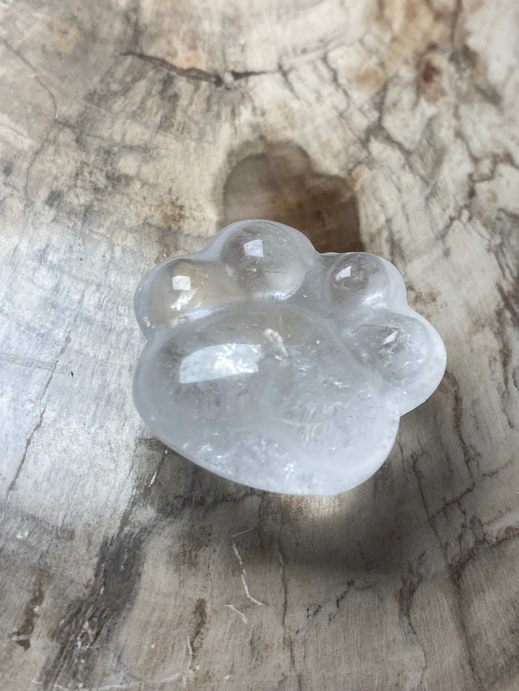 Small paw print carving