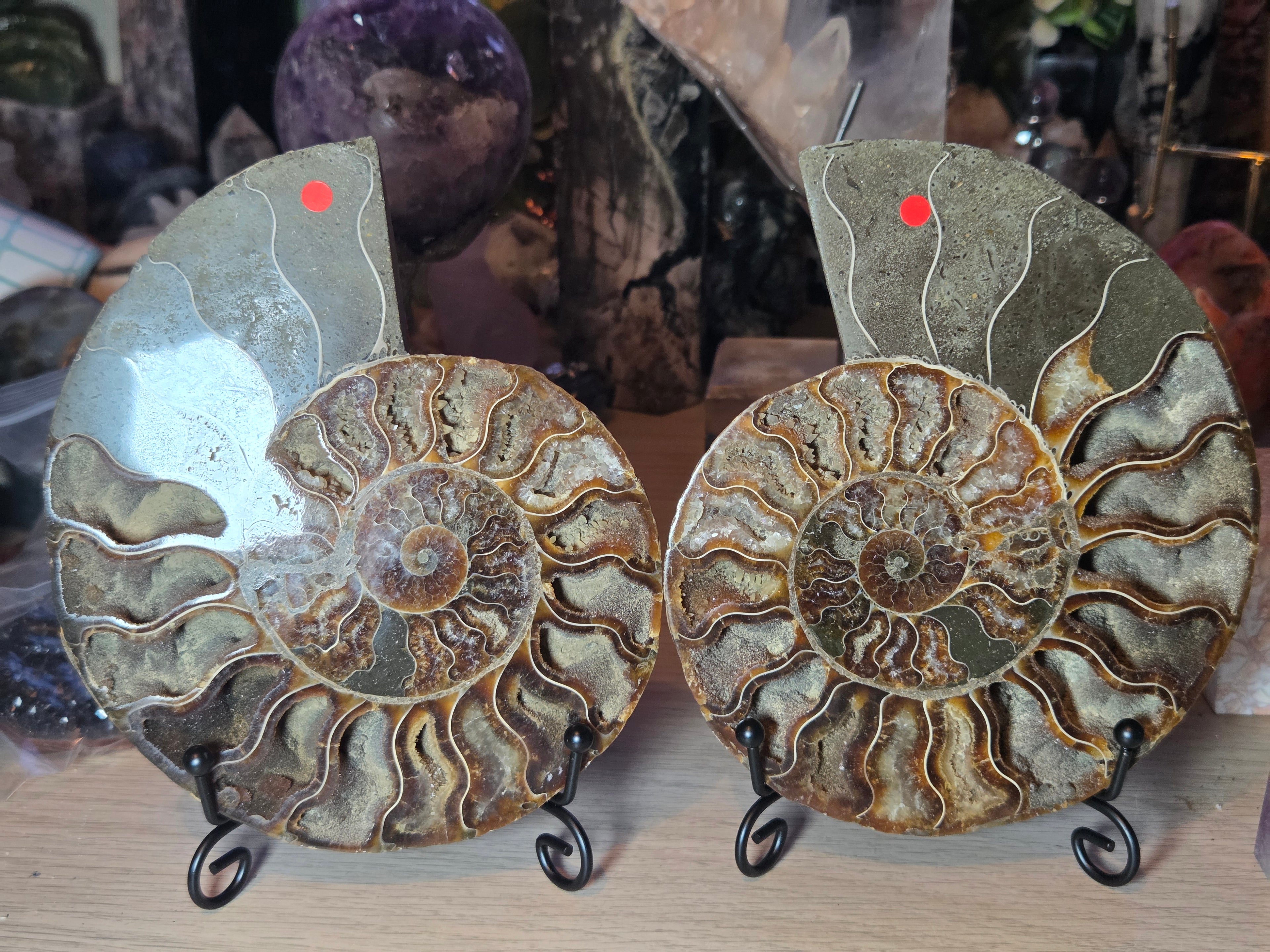 Large Amanite slices with Stands