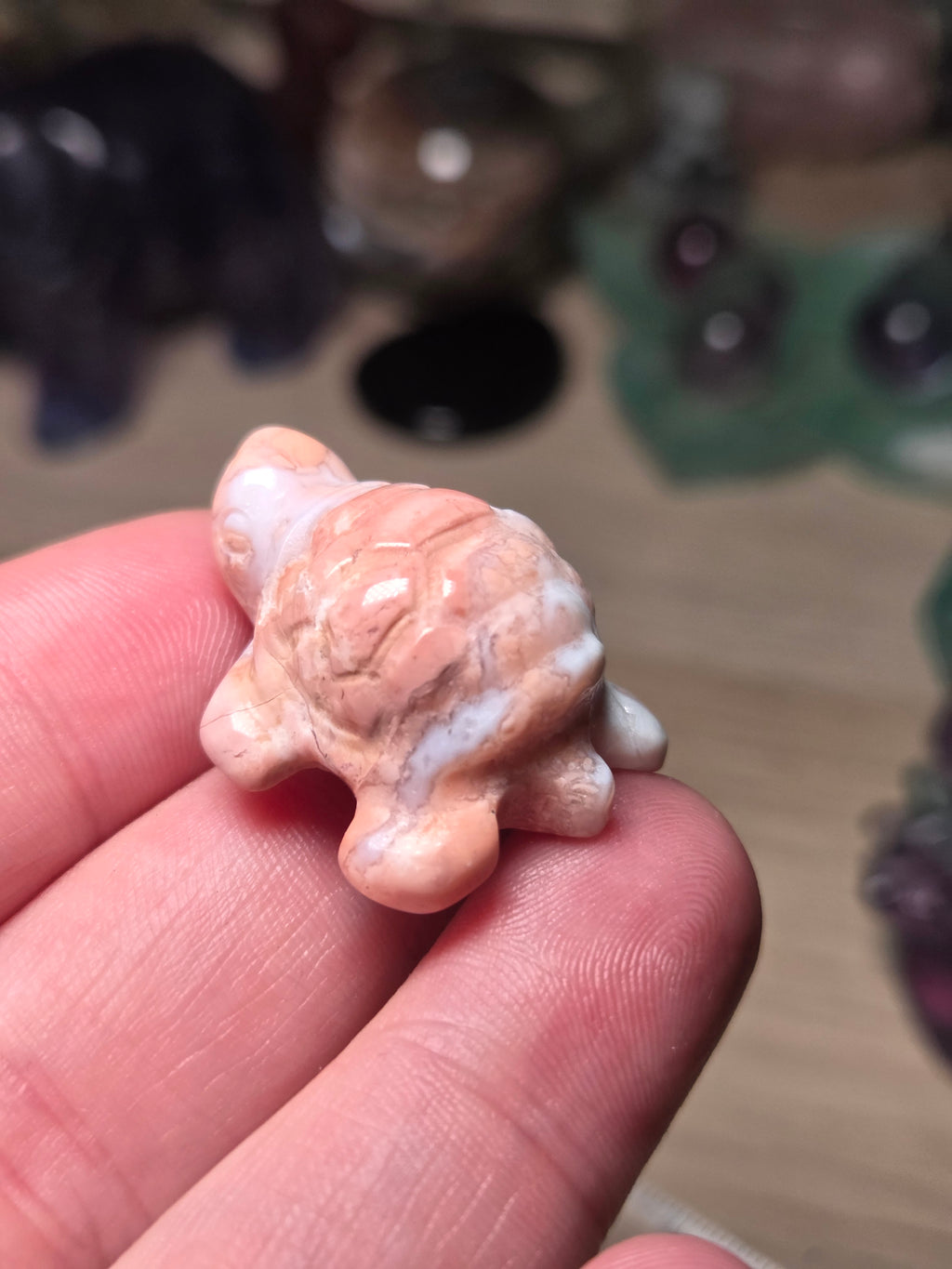 Cotton candy pink turtle carving