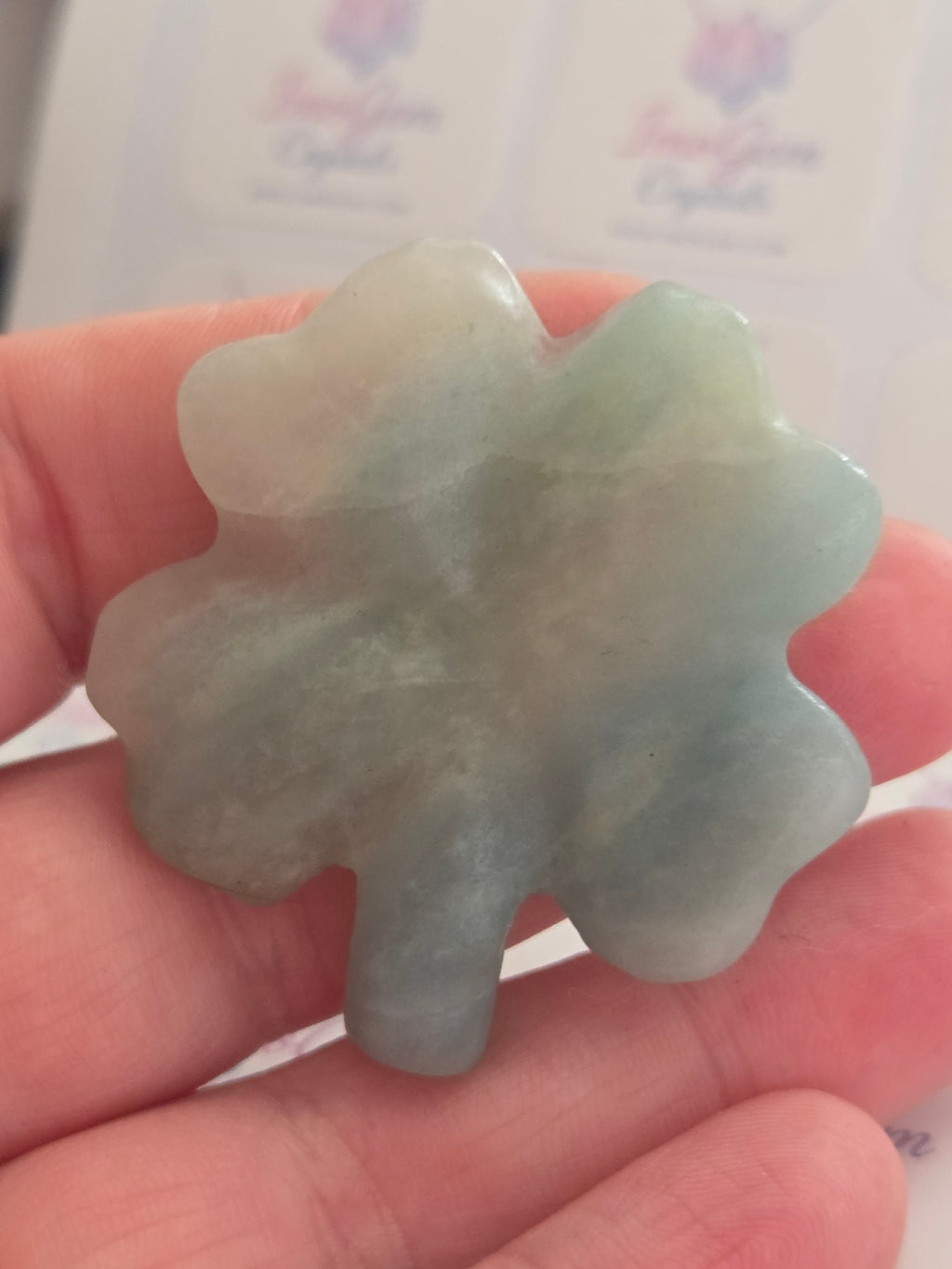 Blue jade 4 leaf clover ☘️