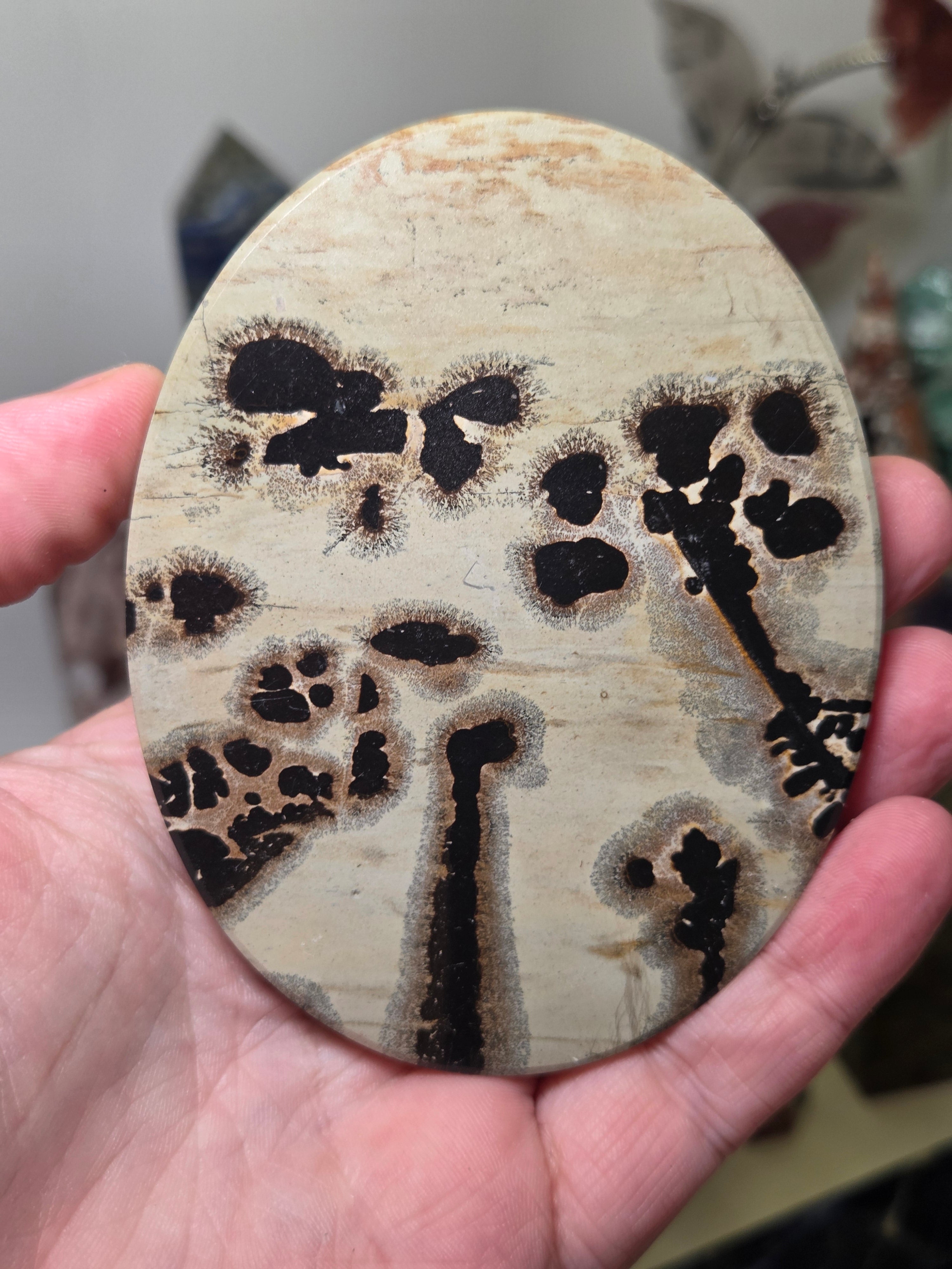 Picture jasper crystal slice
