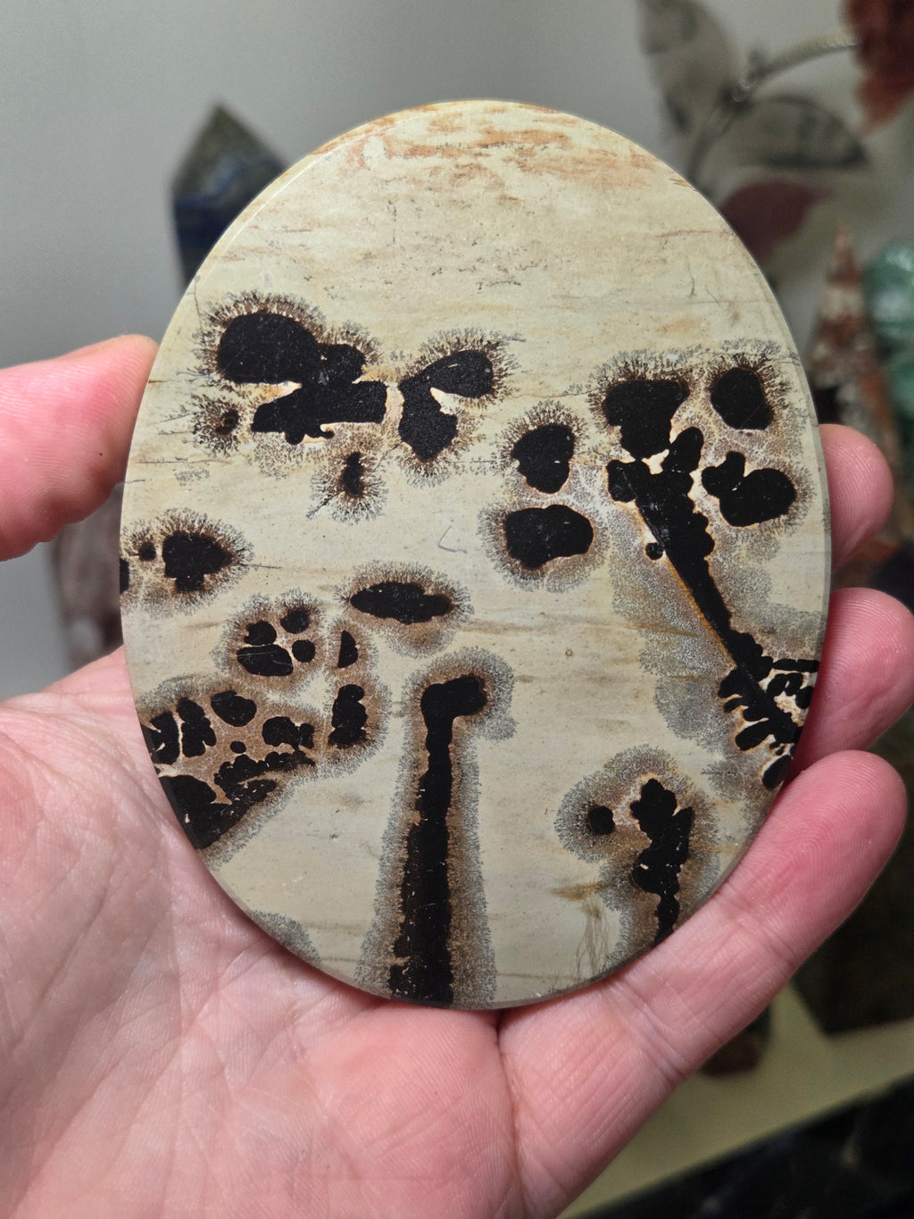 Picture jasper crystal slice