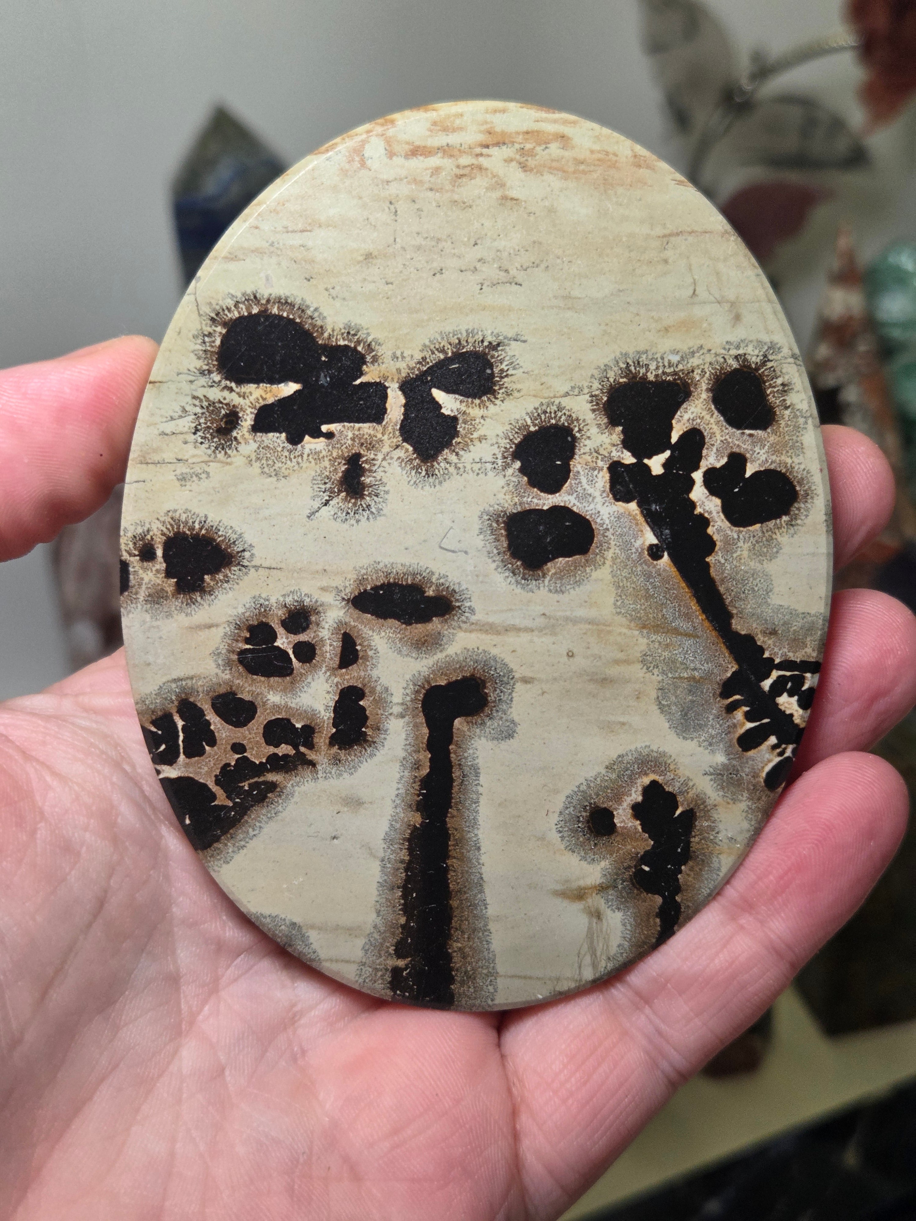 Picture jasper crystal slice
