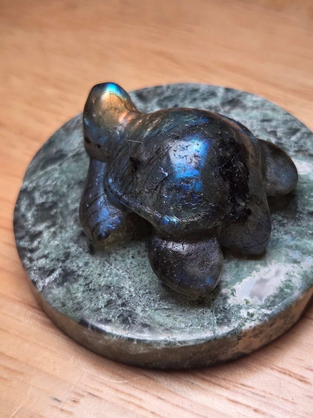 Crystal mini turtles