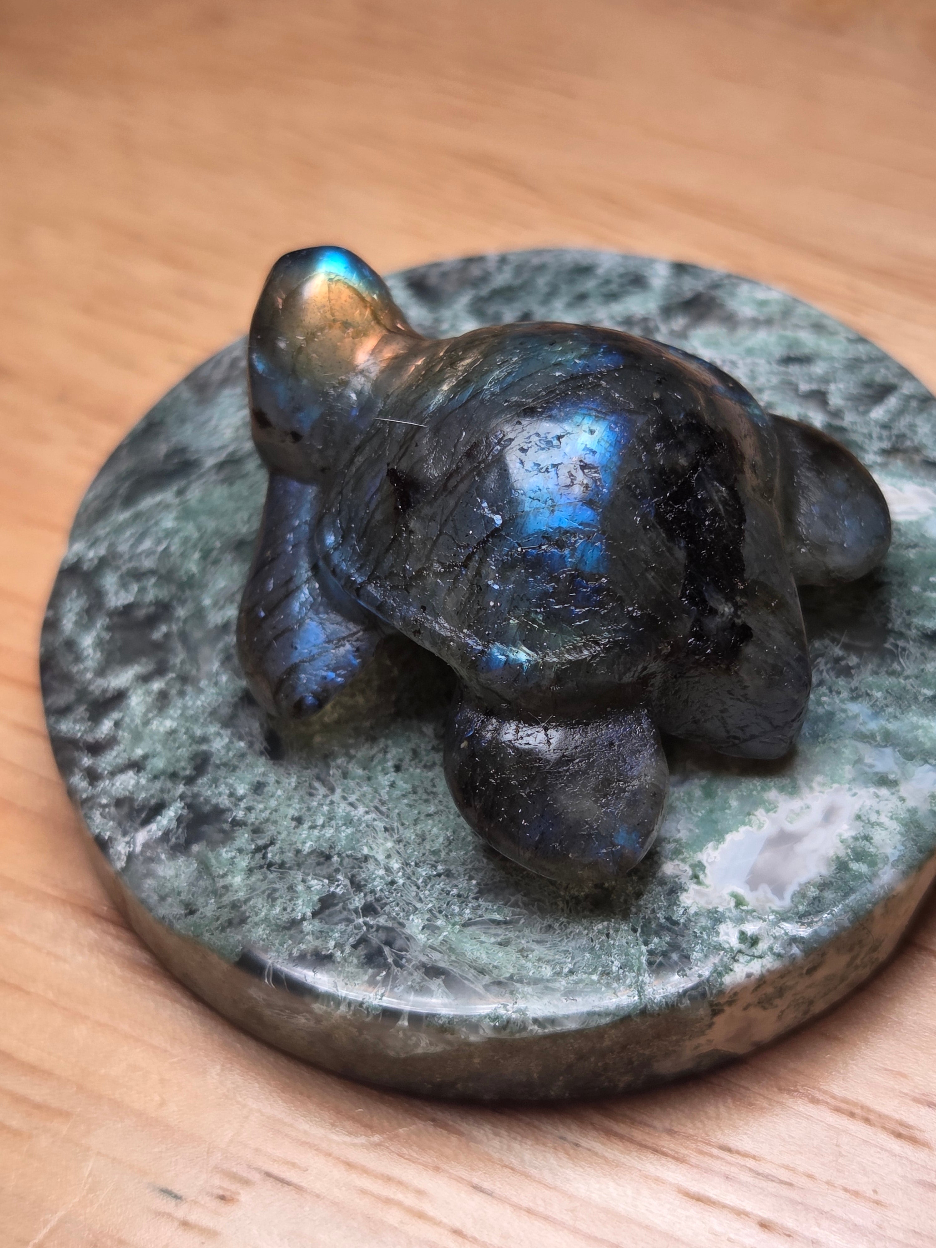 Crystal mini turtles