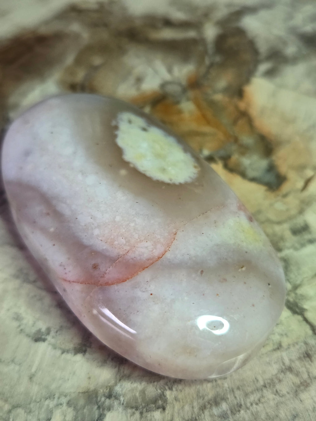 Pink petrified wood crystal palm stone