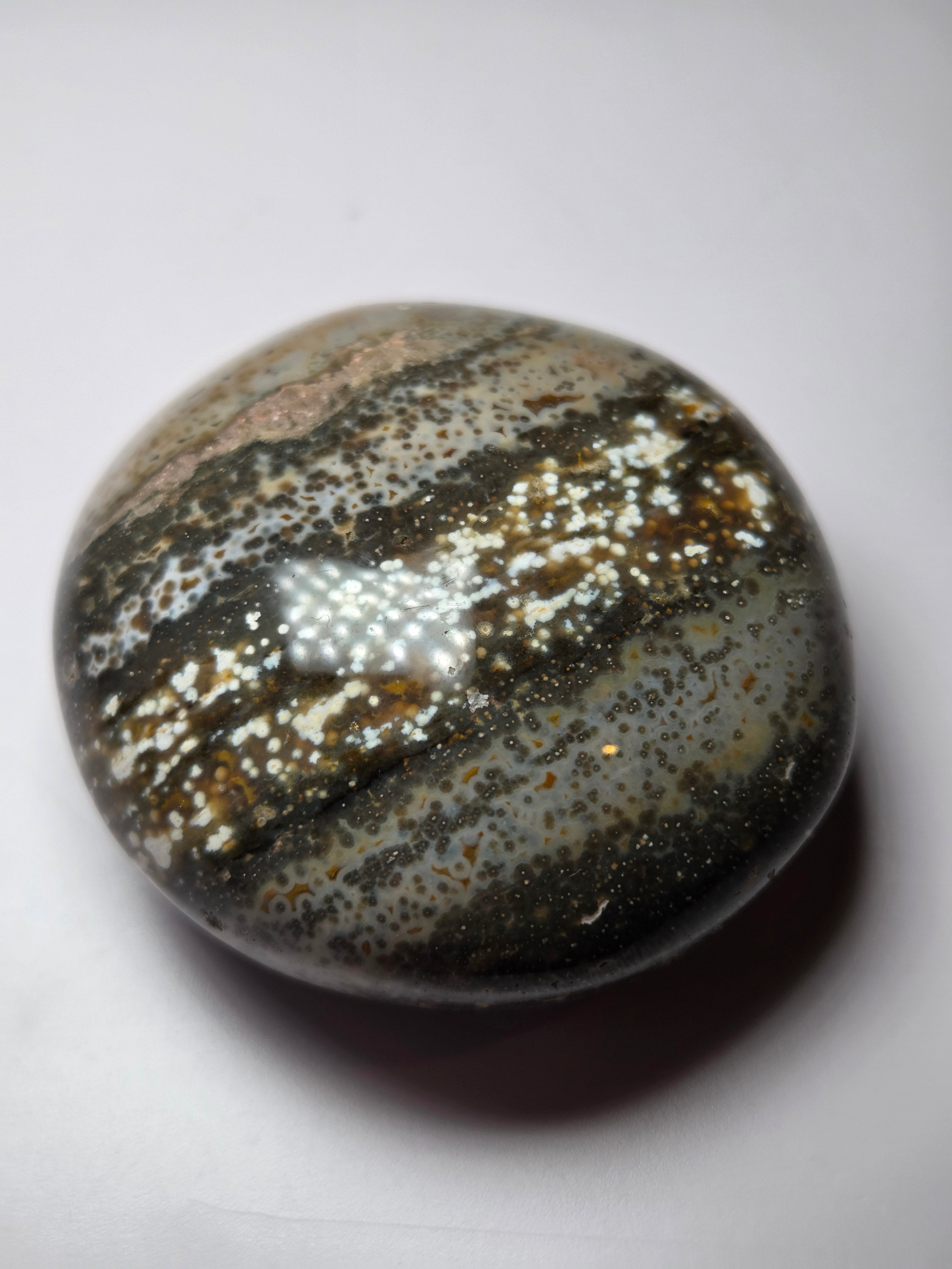 Fish eye crystal palm