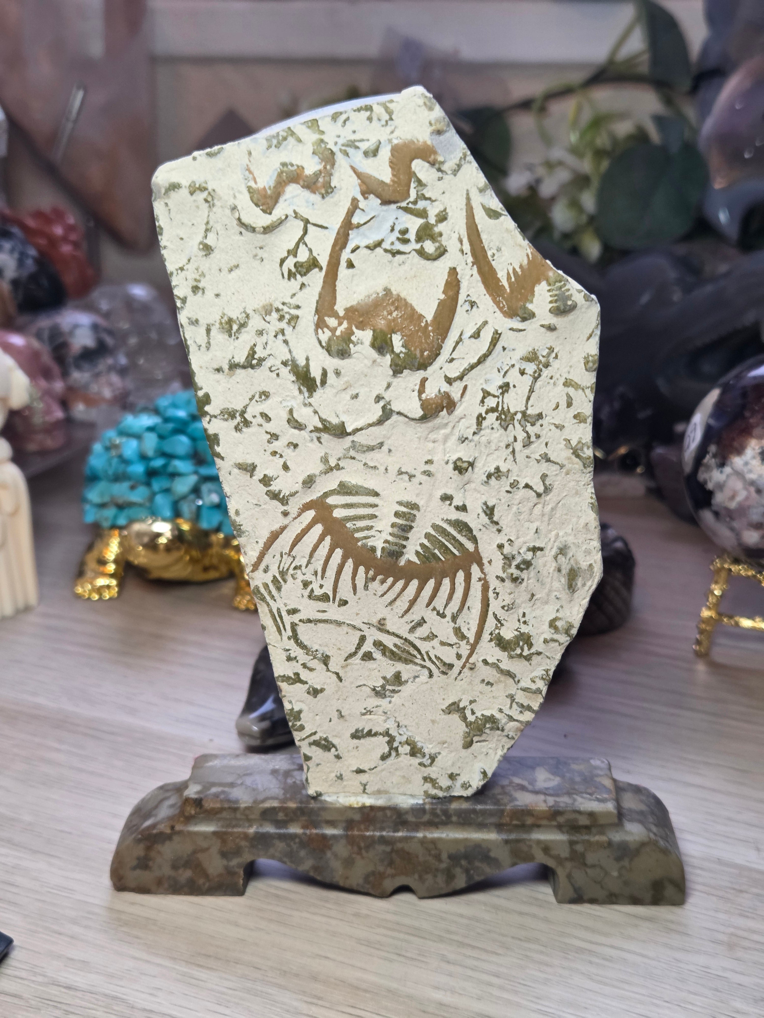 Amazing  Fossil specimen from Provance