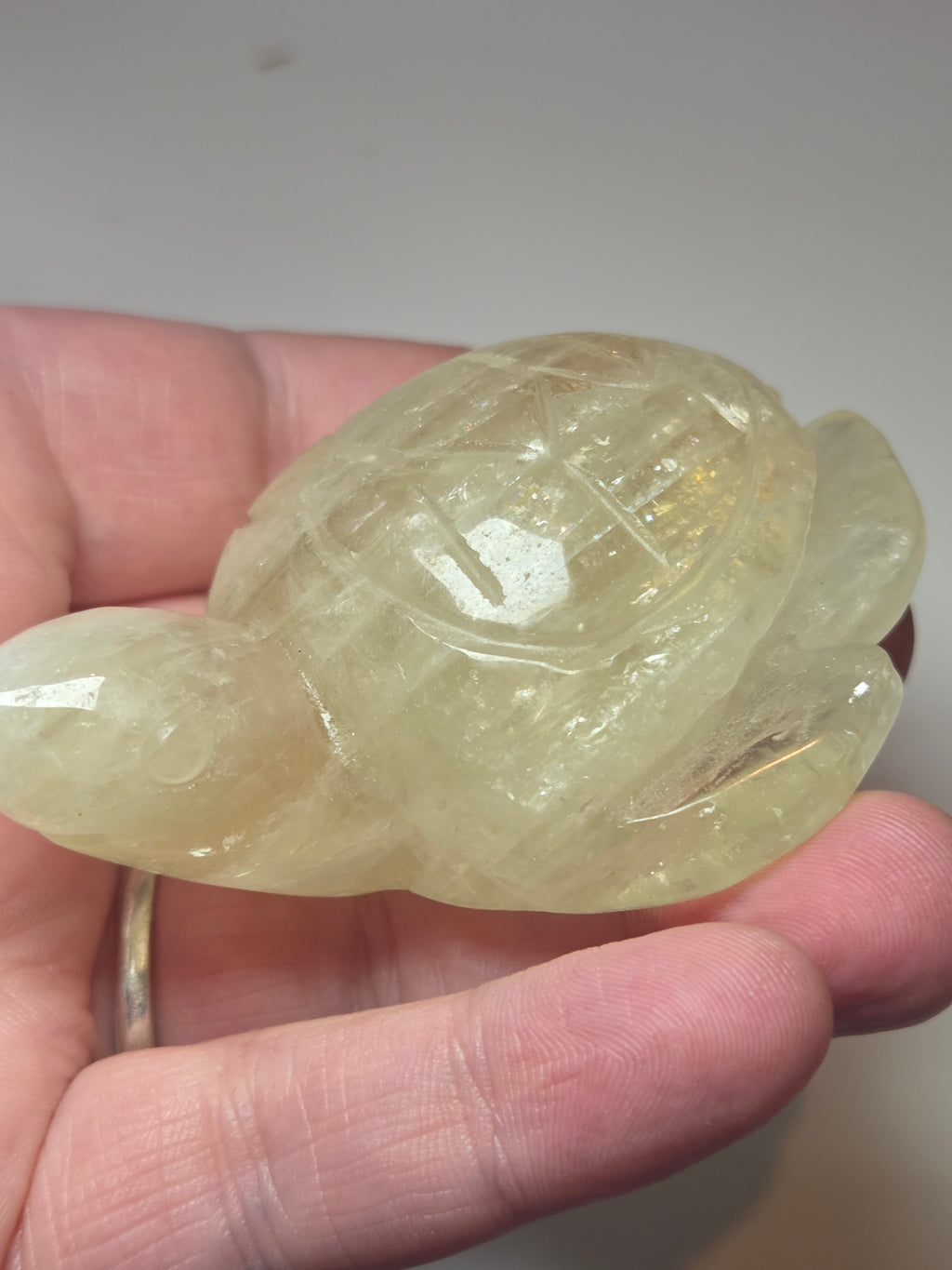 Citrein crystal turtle carving