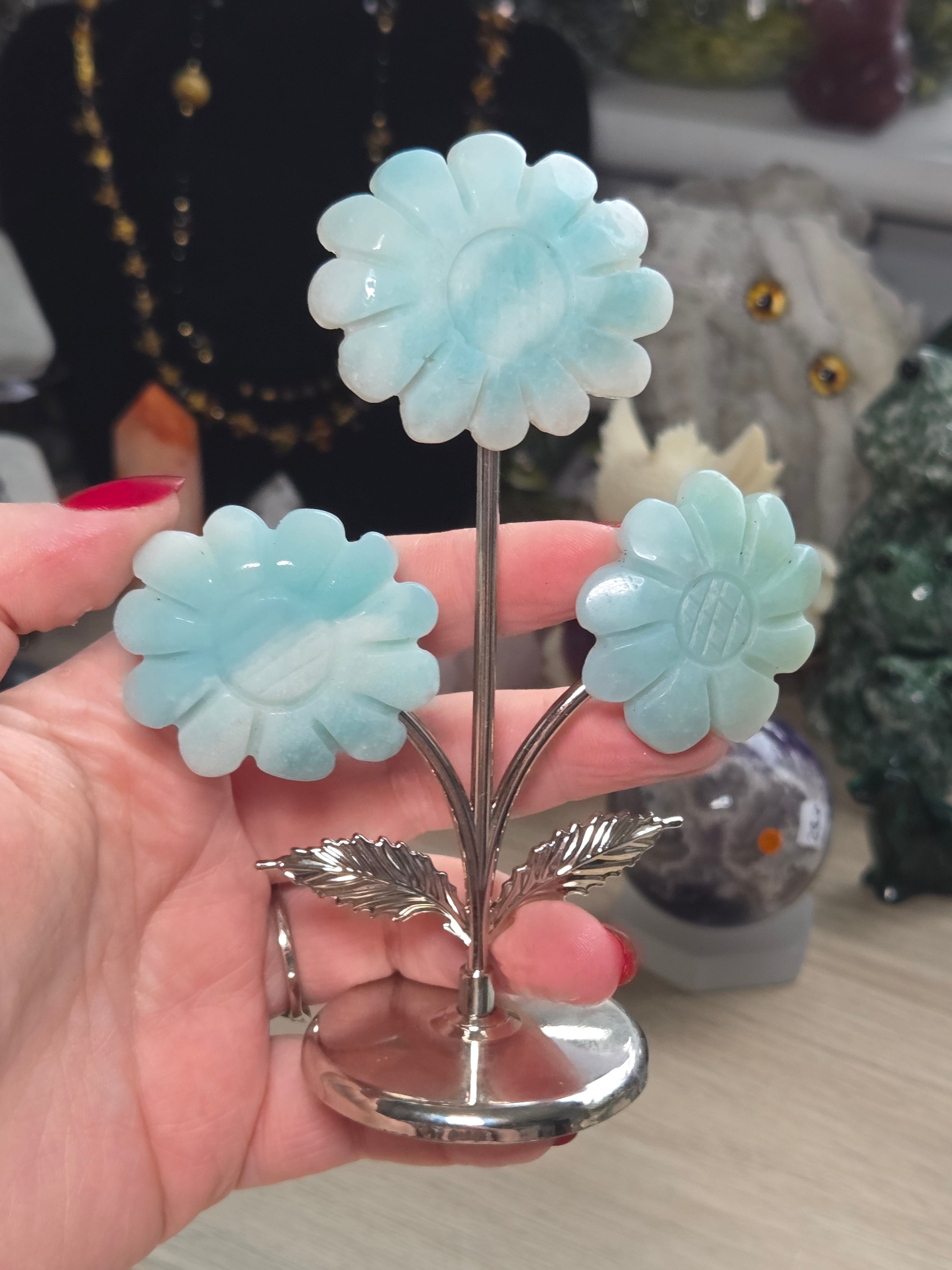 Caribbean calcite flowers