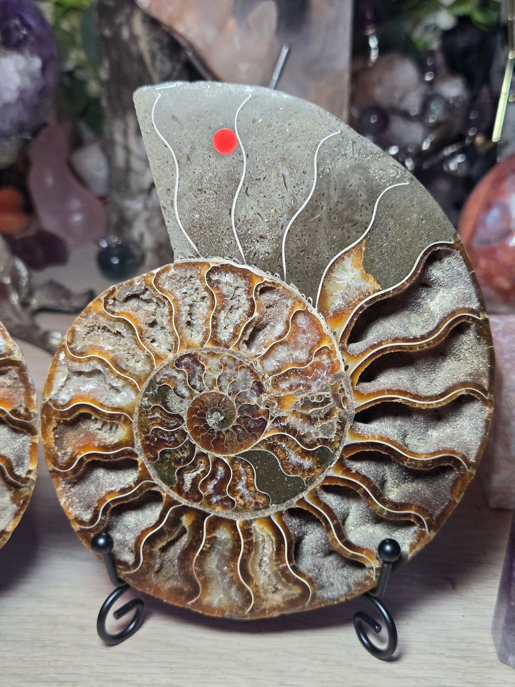 Large Amanite slices with Stands