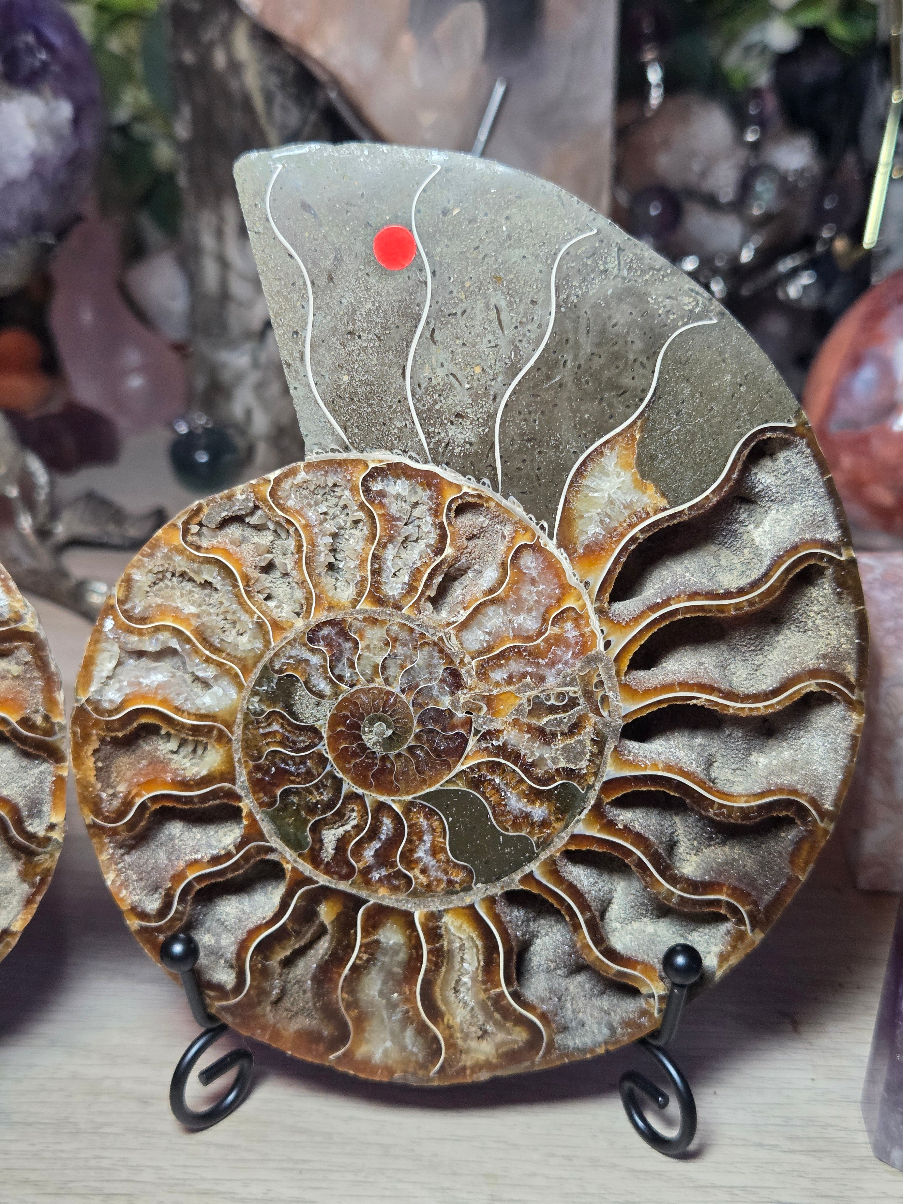 Large Amanite slices with Stands