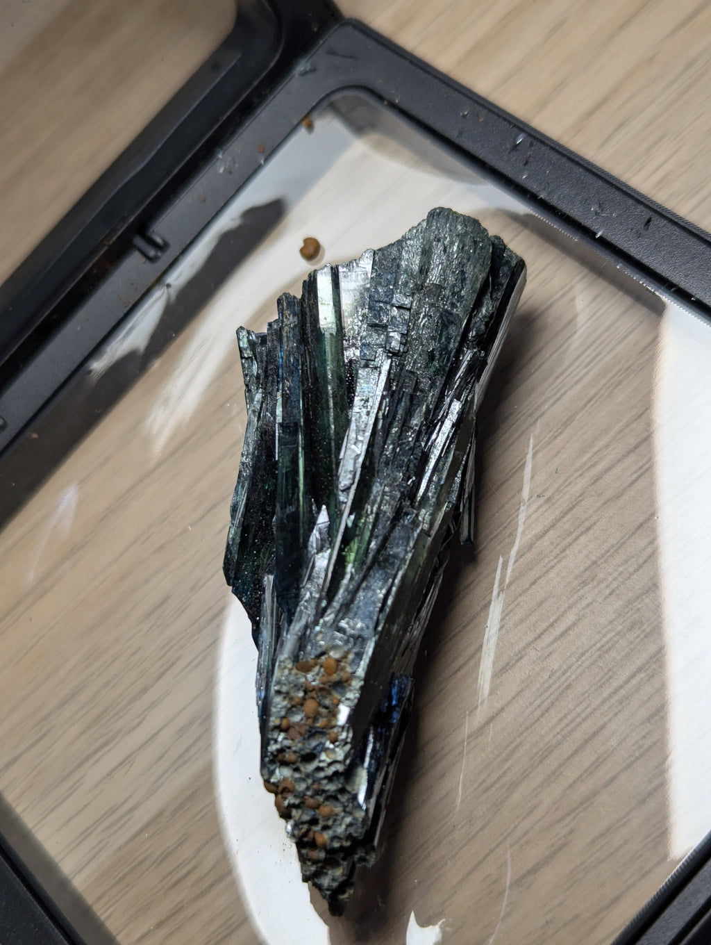 Vivianite specimen option A