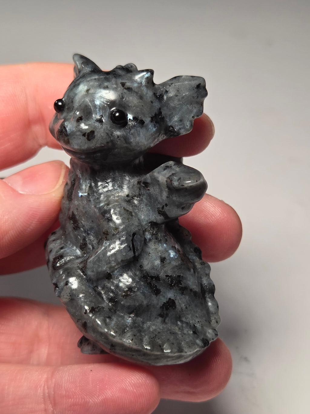 Baby dragon holding tail