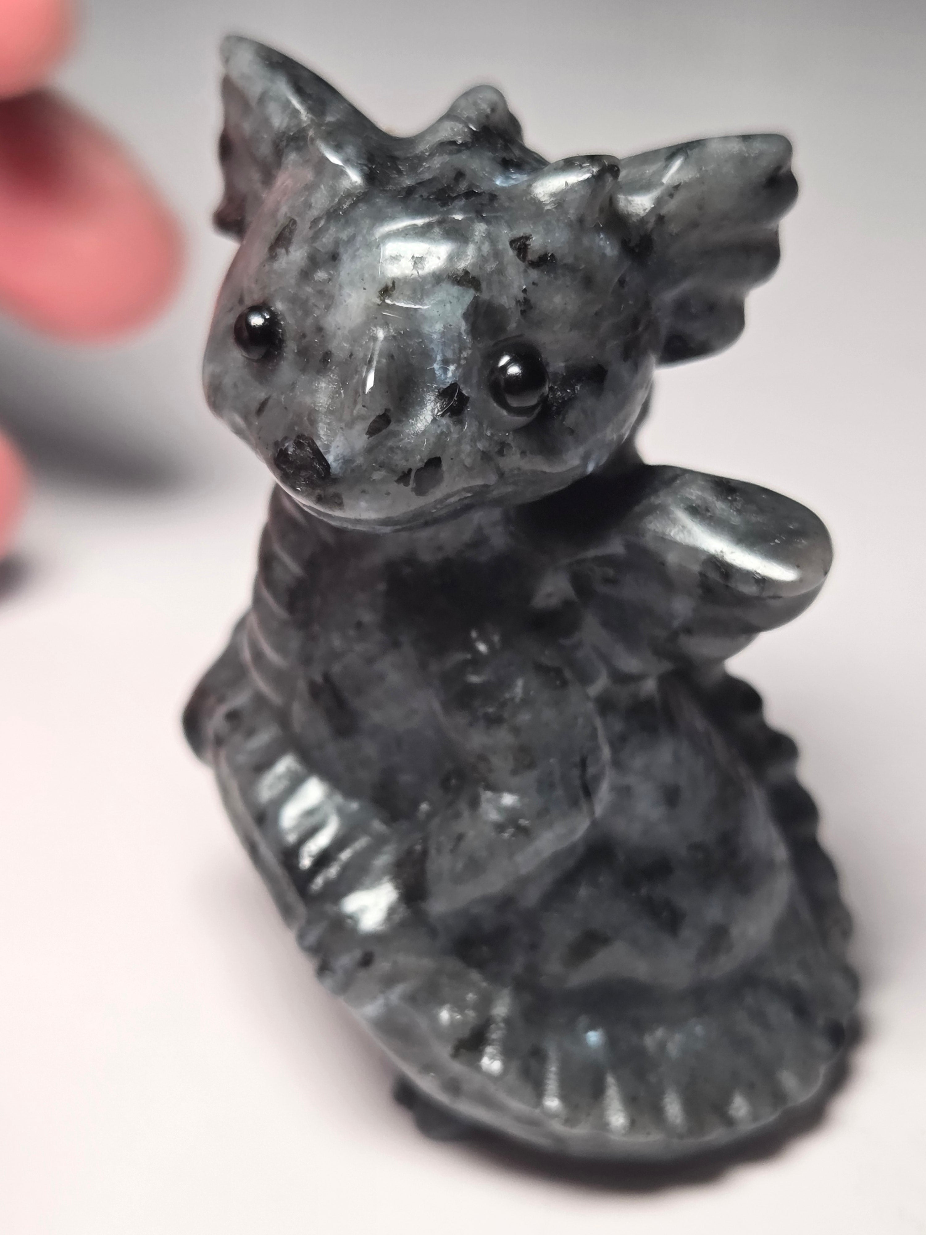 Baby dragon holding tail