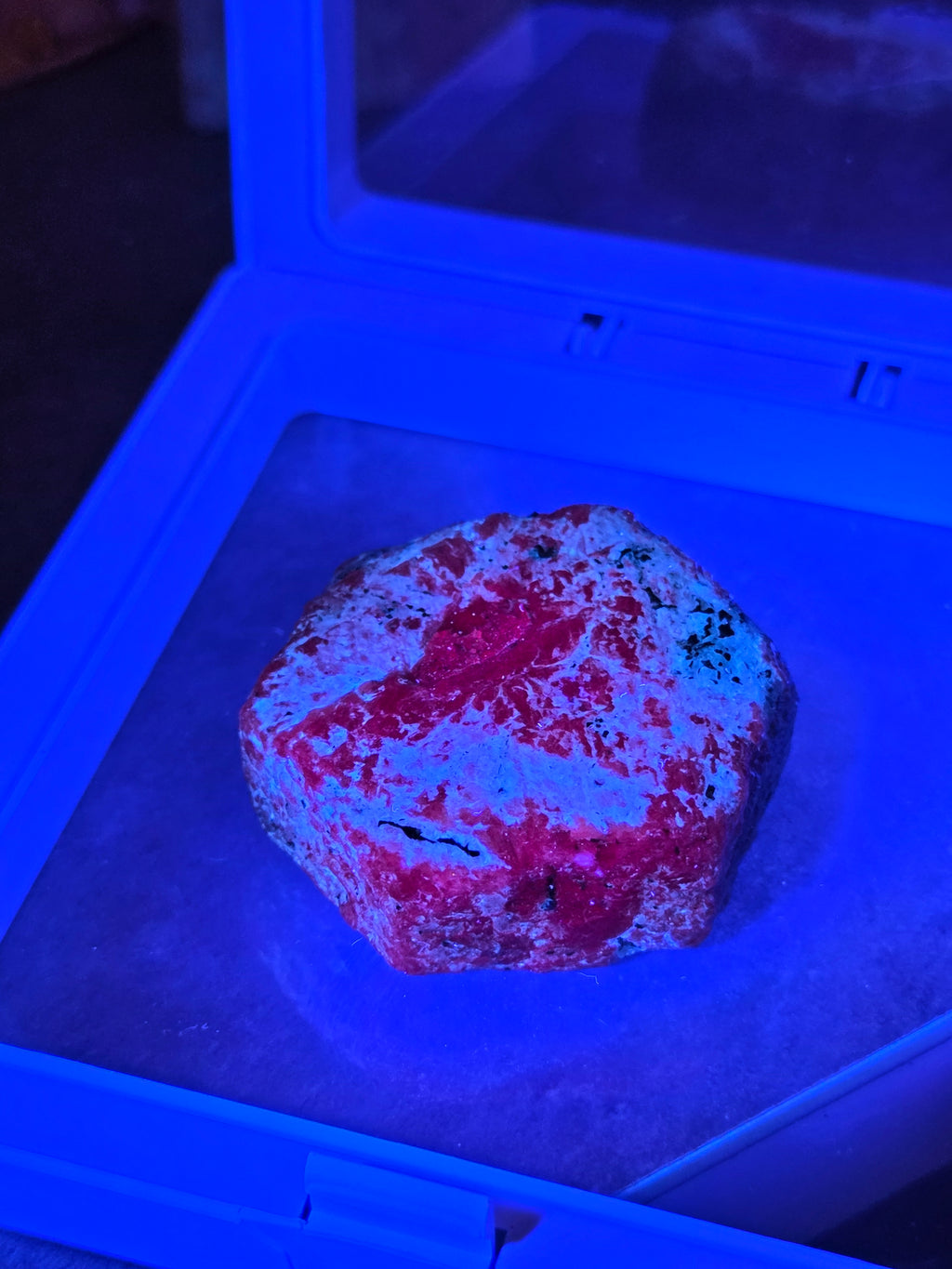 Natural ruby in raw form comes with case