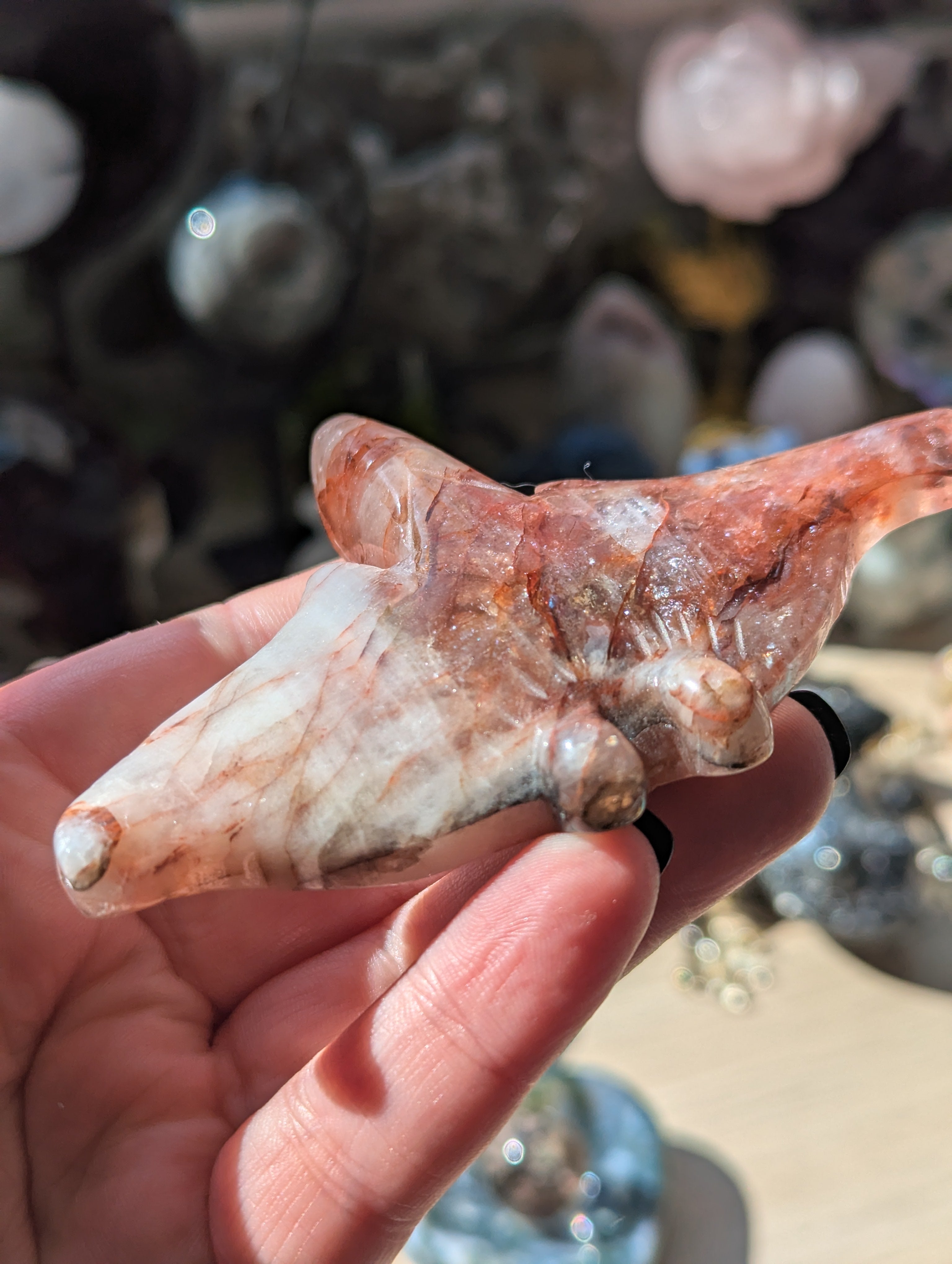 Stingray carving