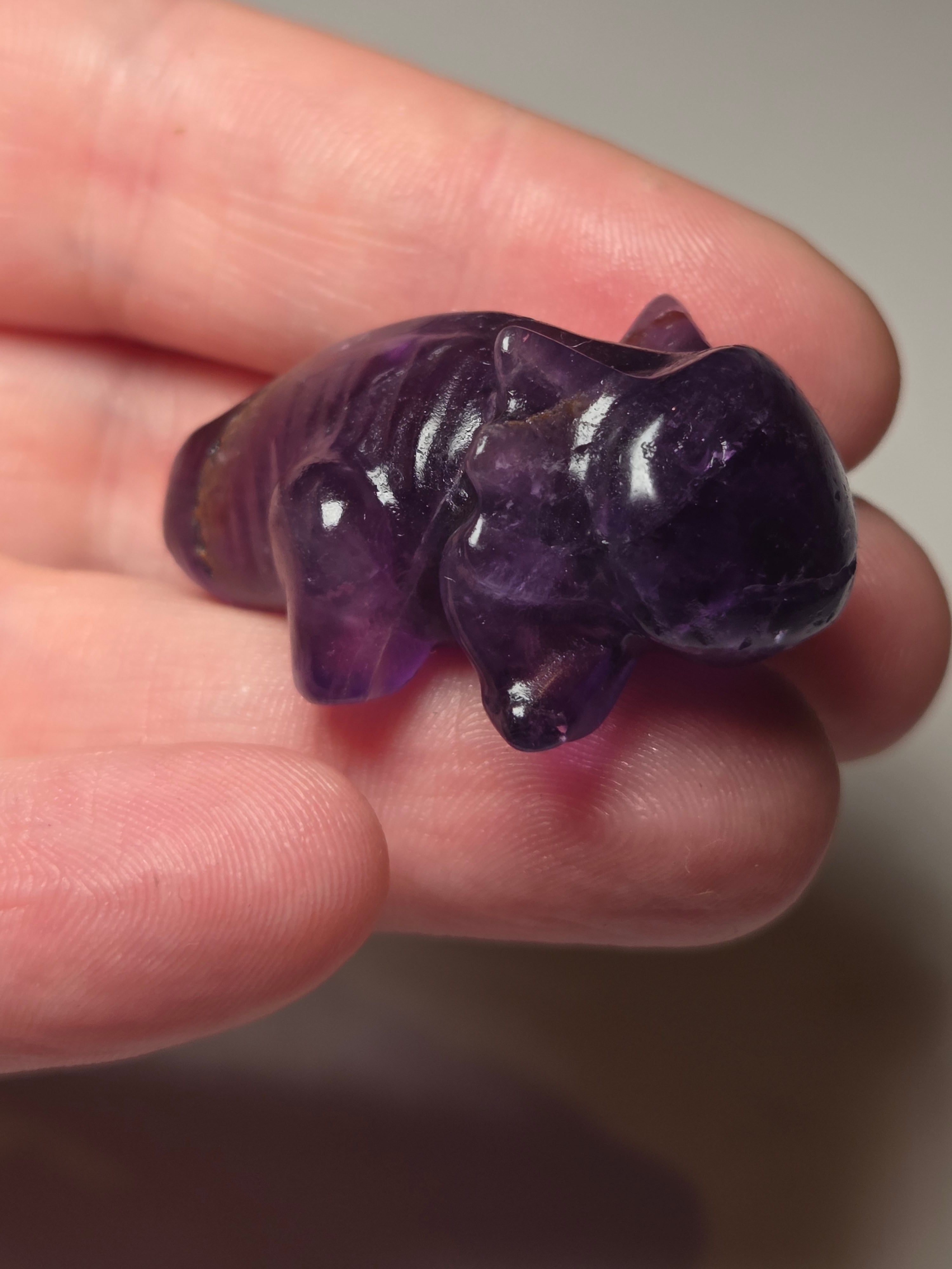 Purple flourite small carving Axolotl