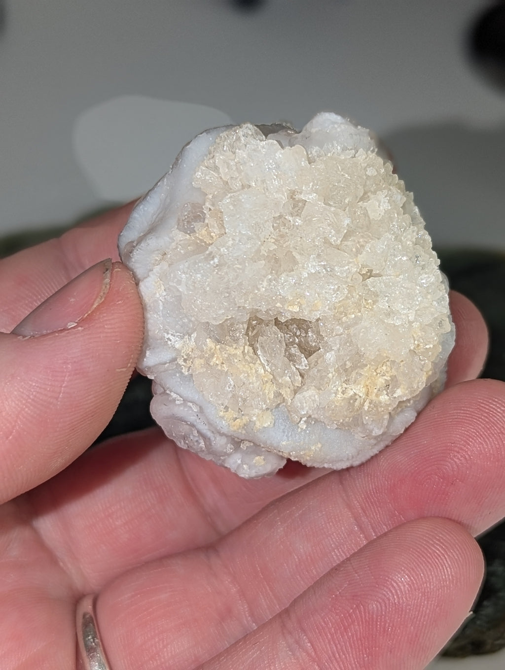 Mexican rose specimen