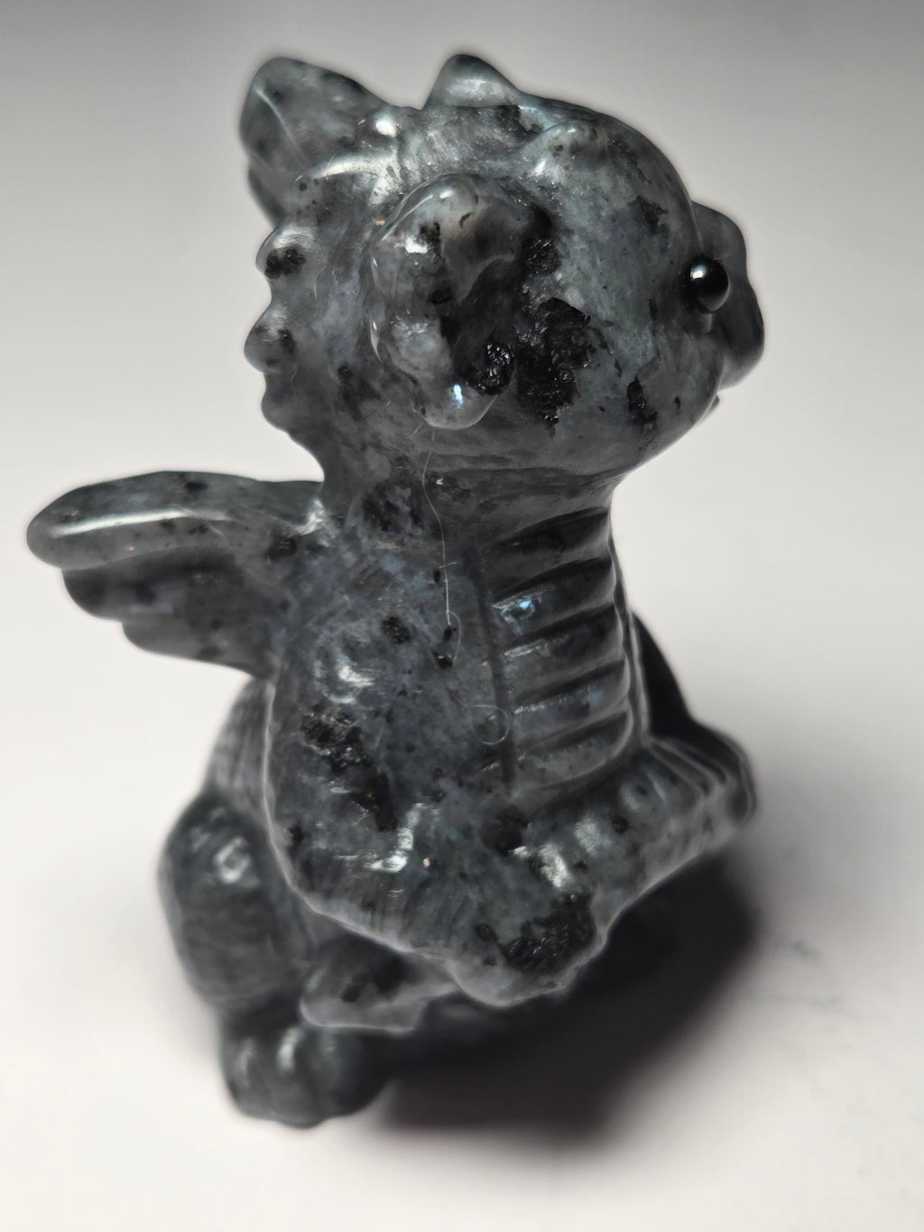 Baby dragon holding tail