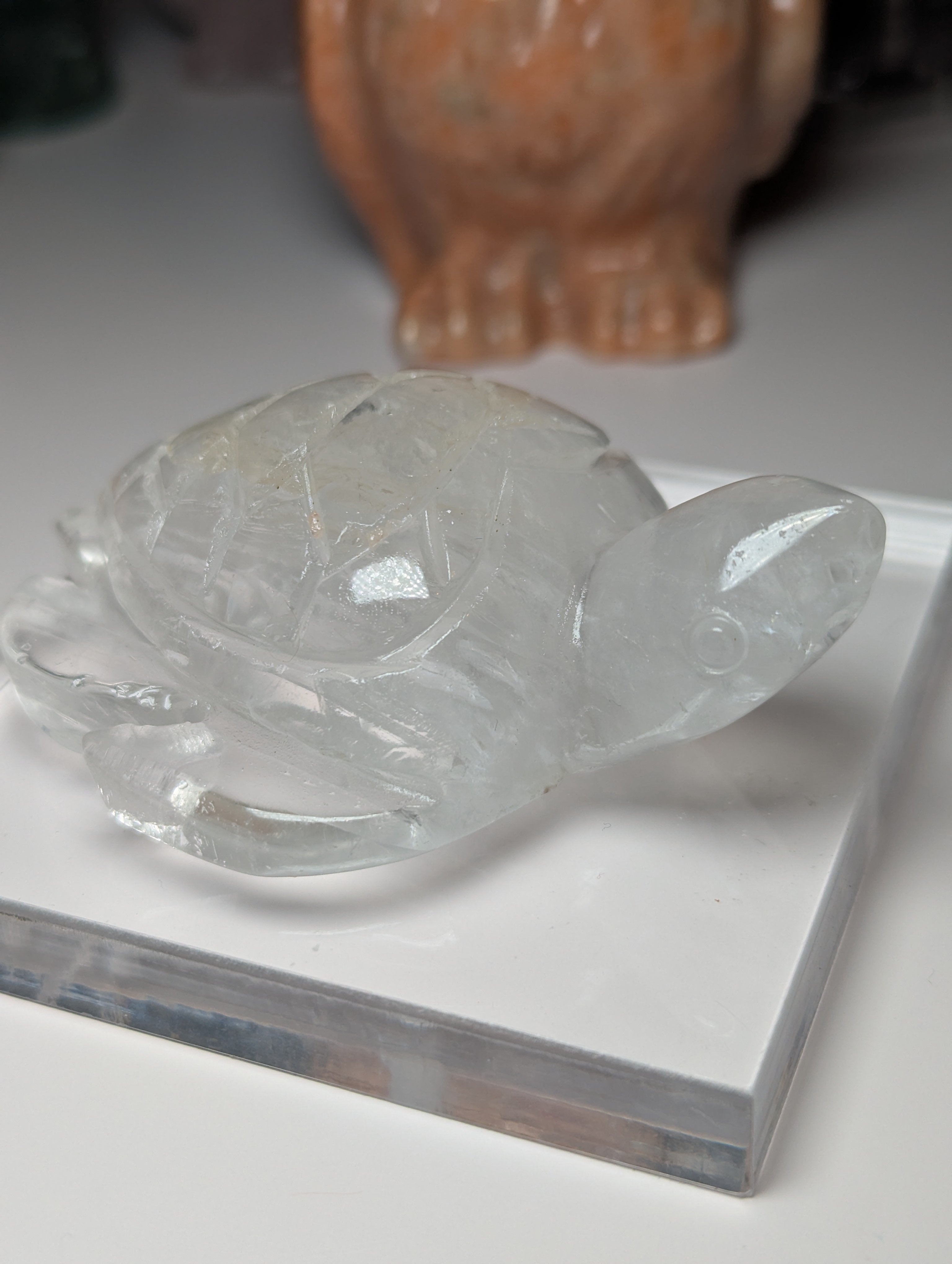 Clear quartz crystal turtle