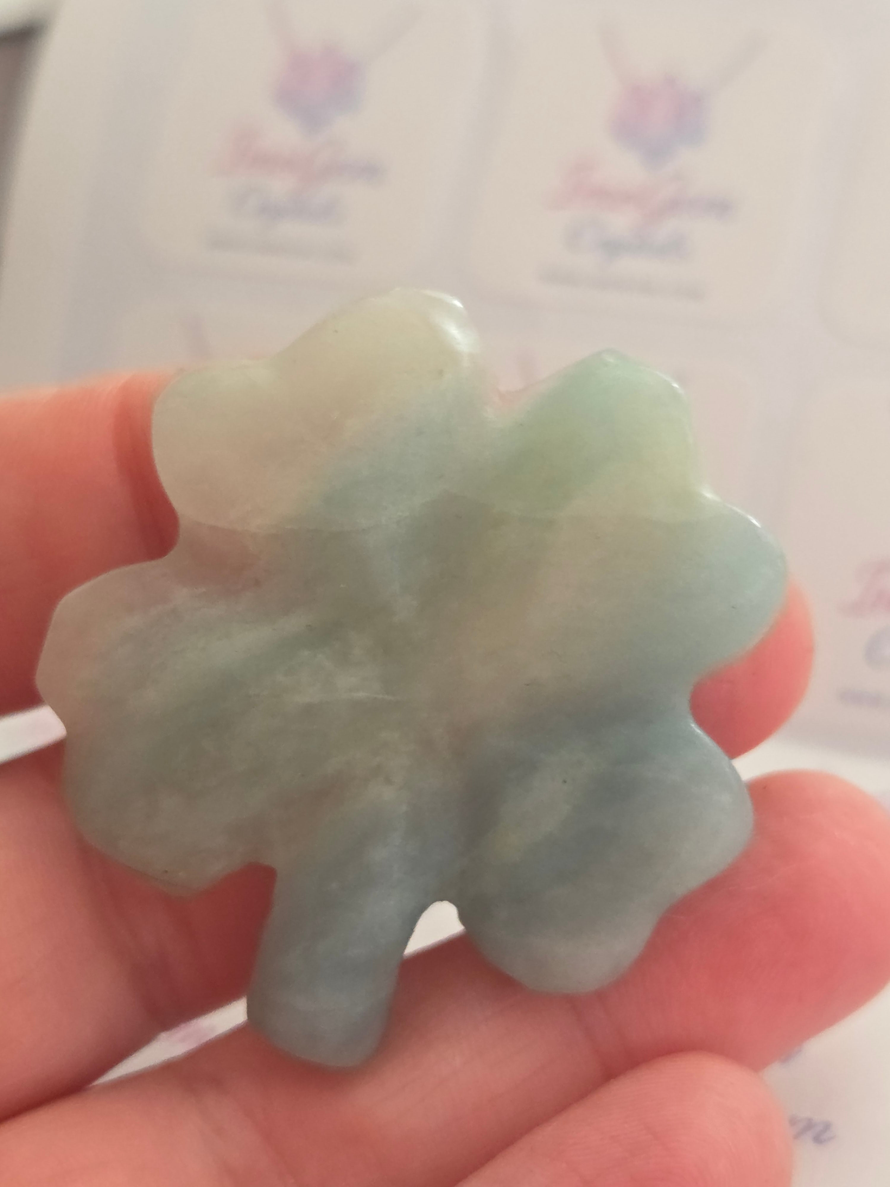 Blue jade 4 leaf clover ☘️