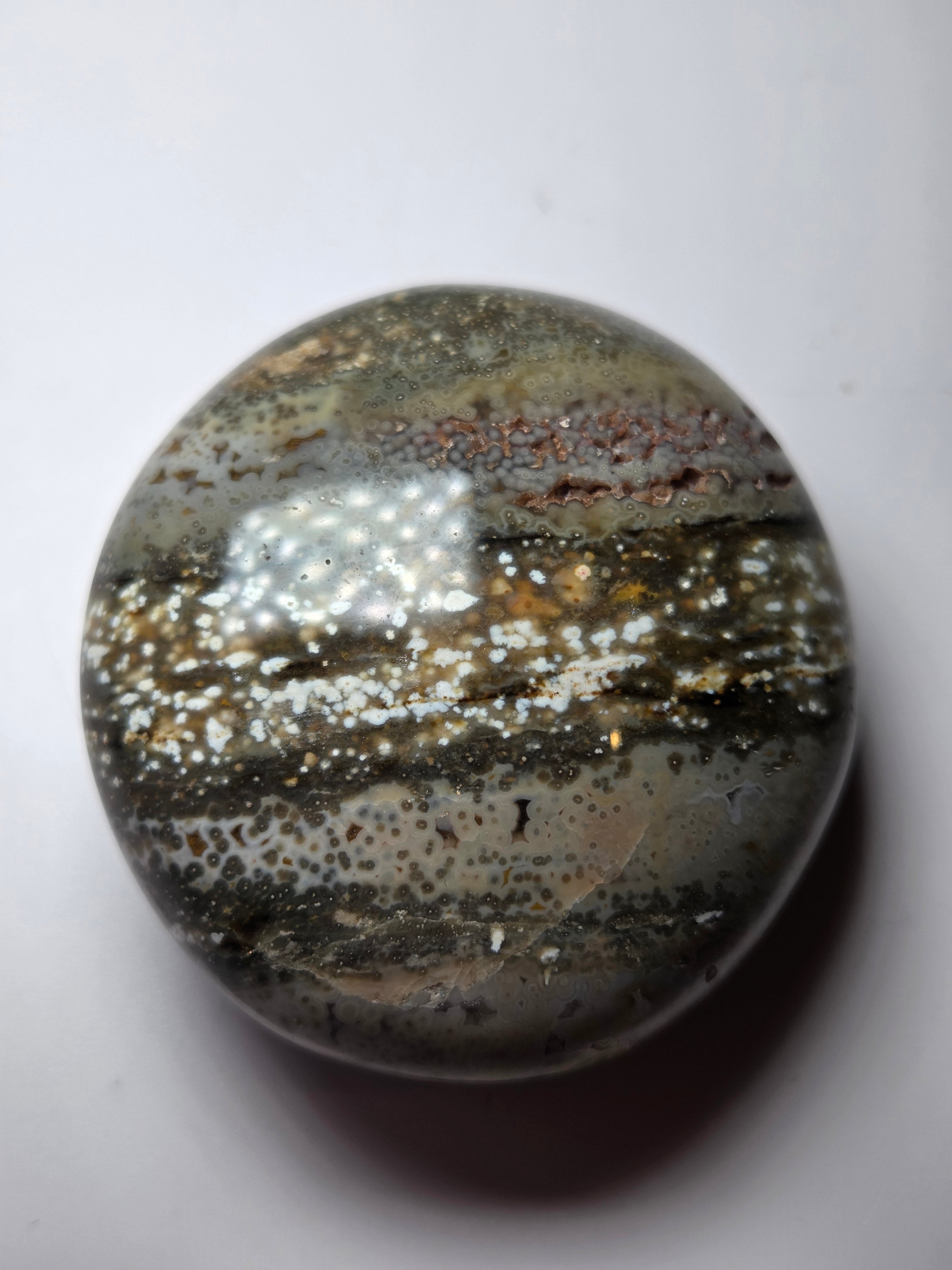 Fish eye crystal palm