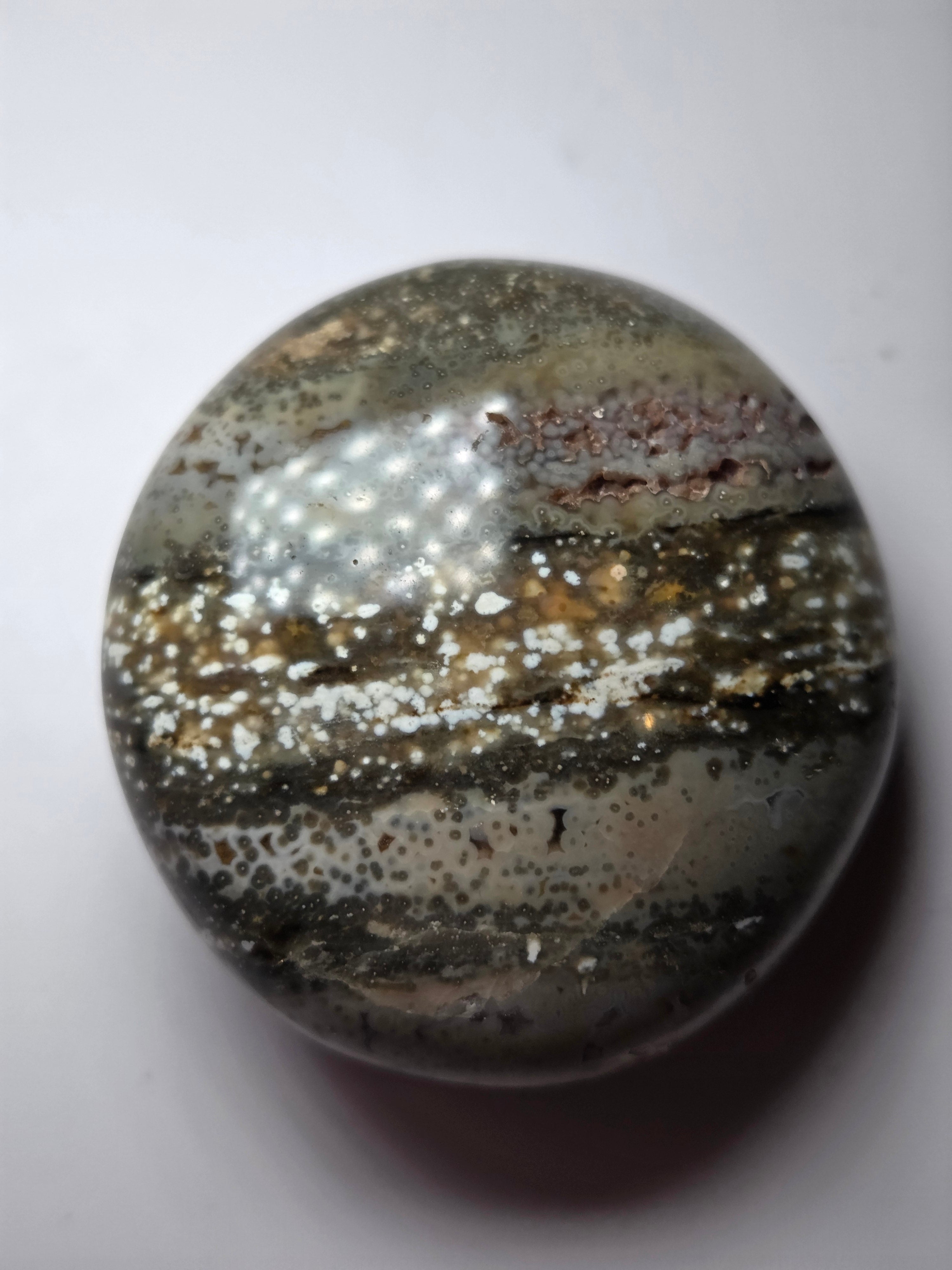 Fish eye crystal palm