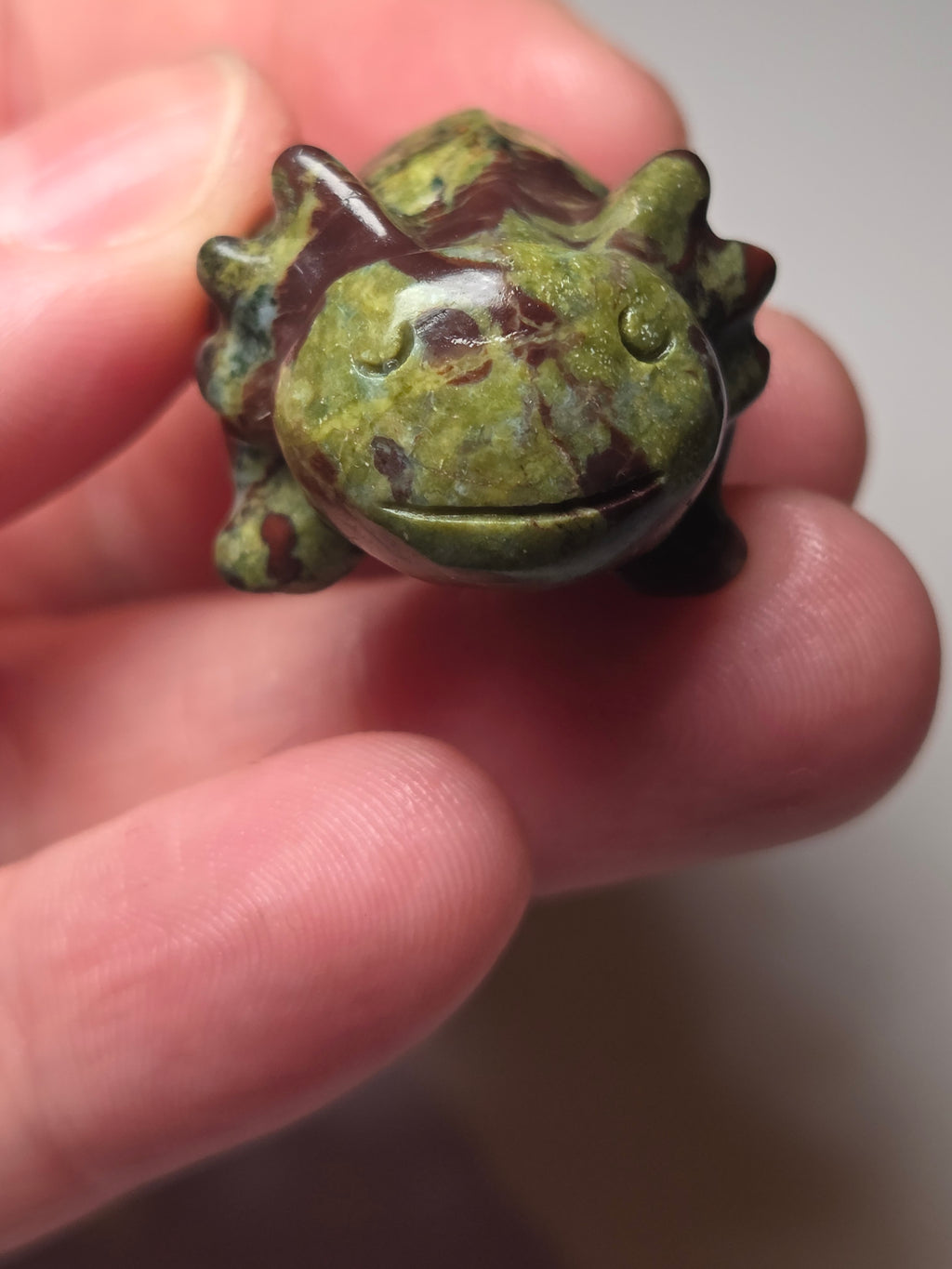 Dragon blood stone crystal axolotl carving