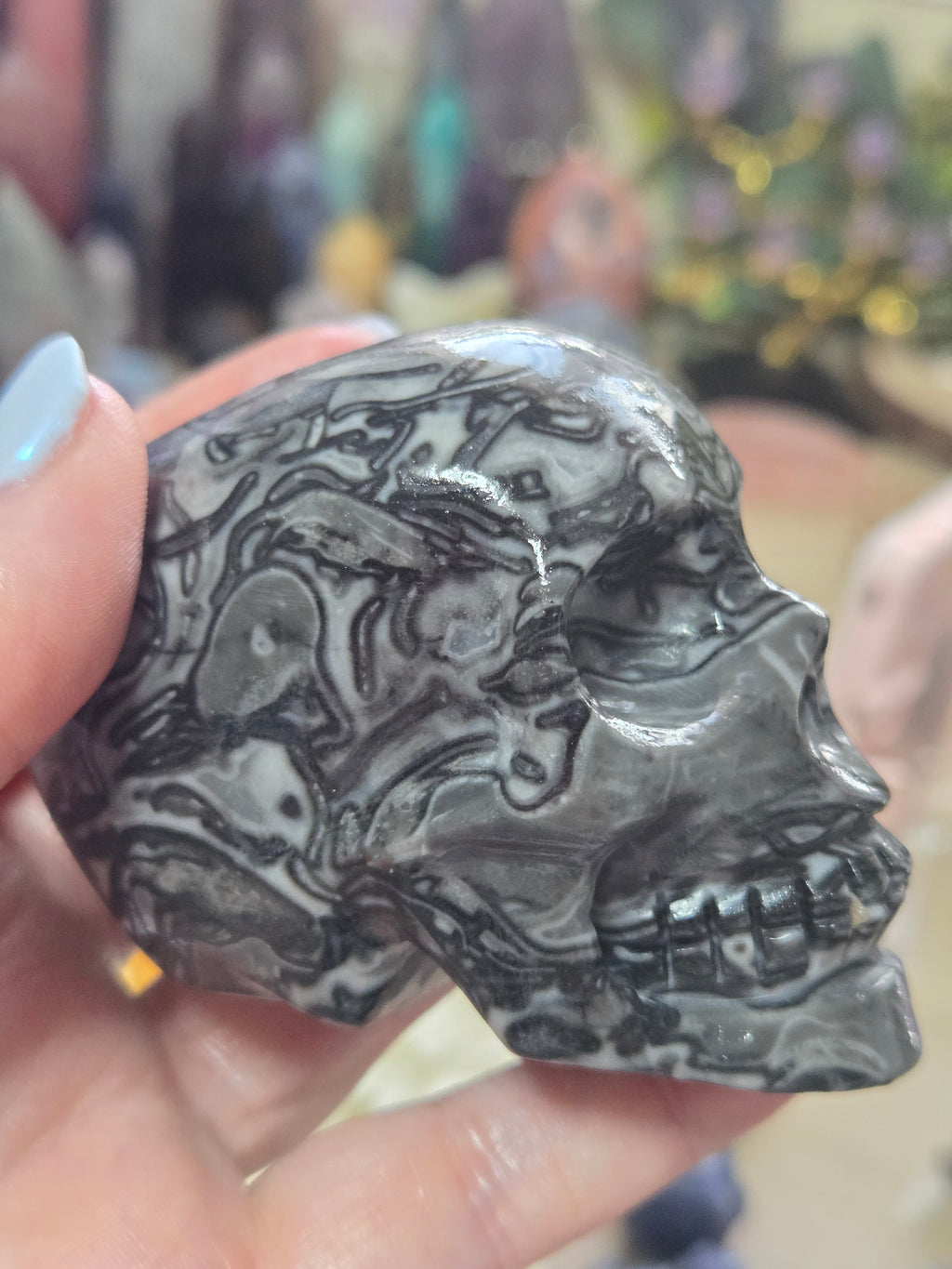 Fossilised coral stone crystal large skull