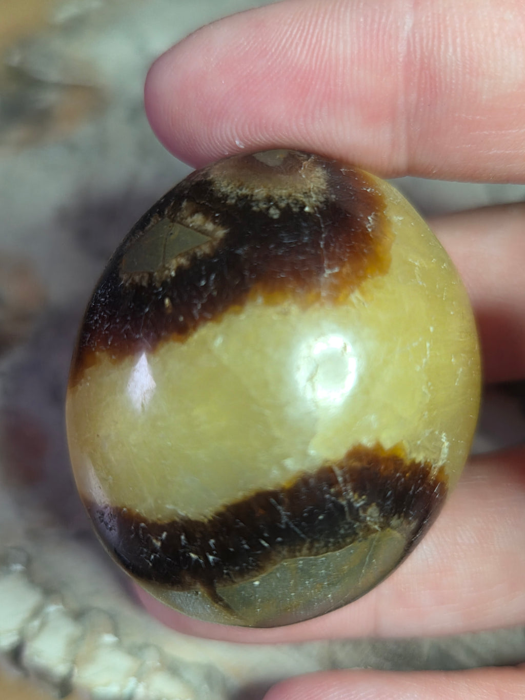 Septerian crystal palm stone