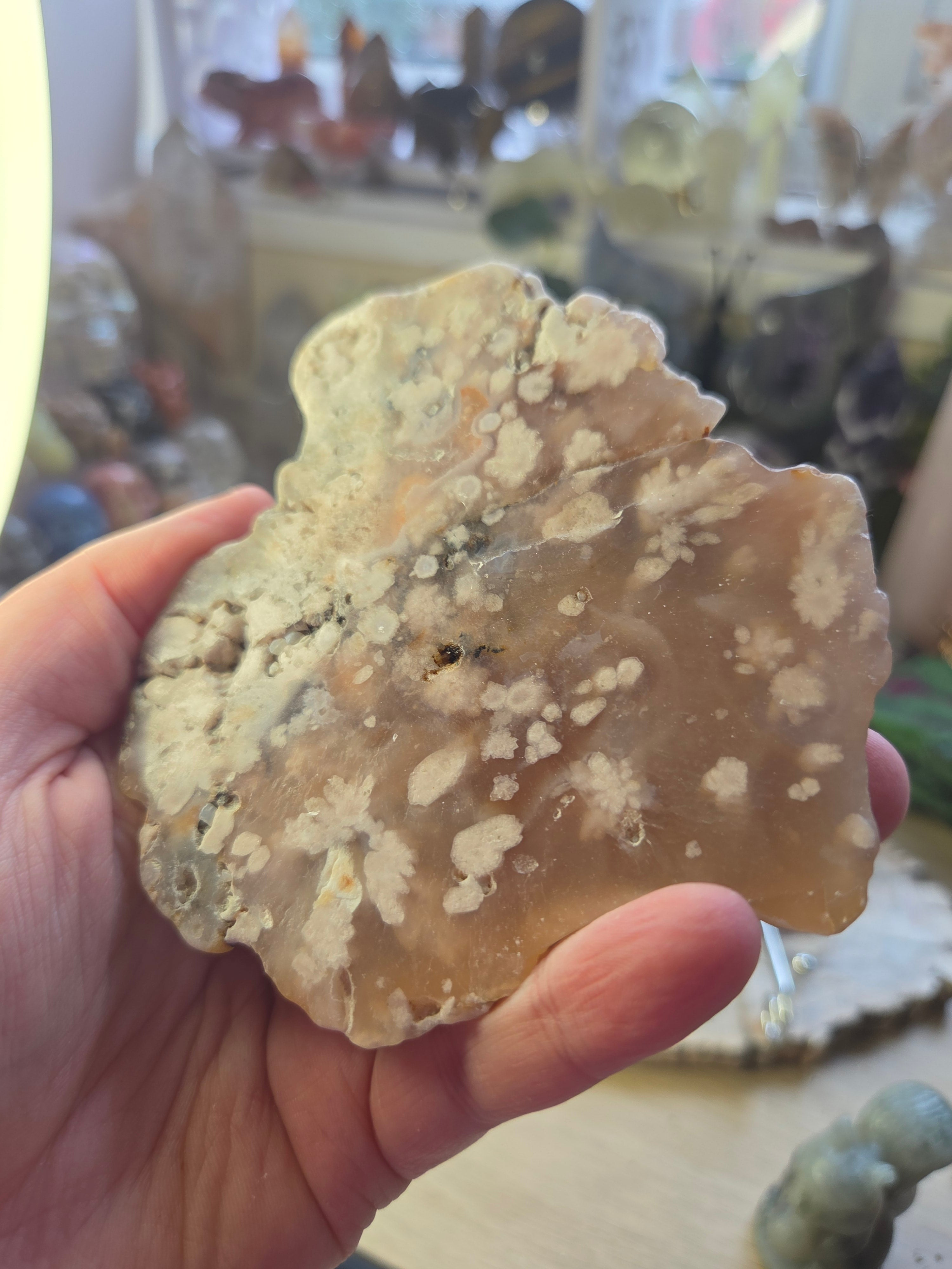 Flower agate crystal slice