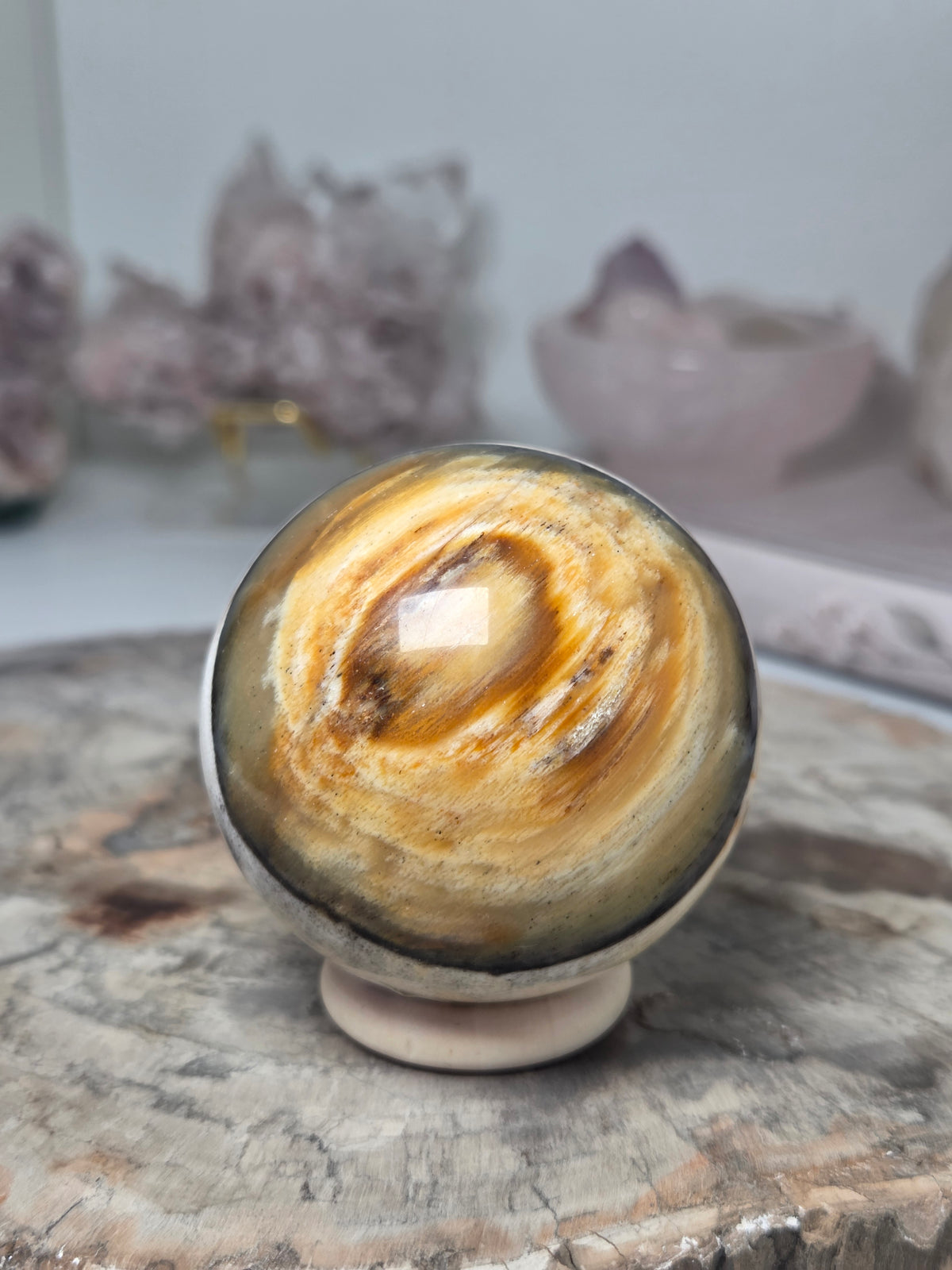 Petrified wood sphere