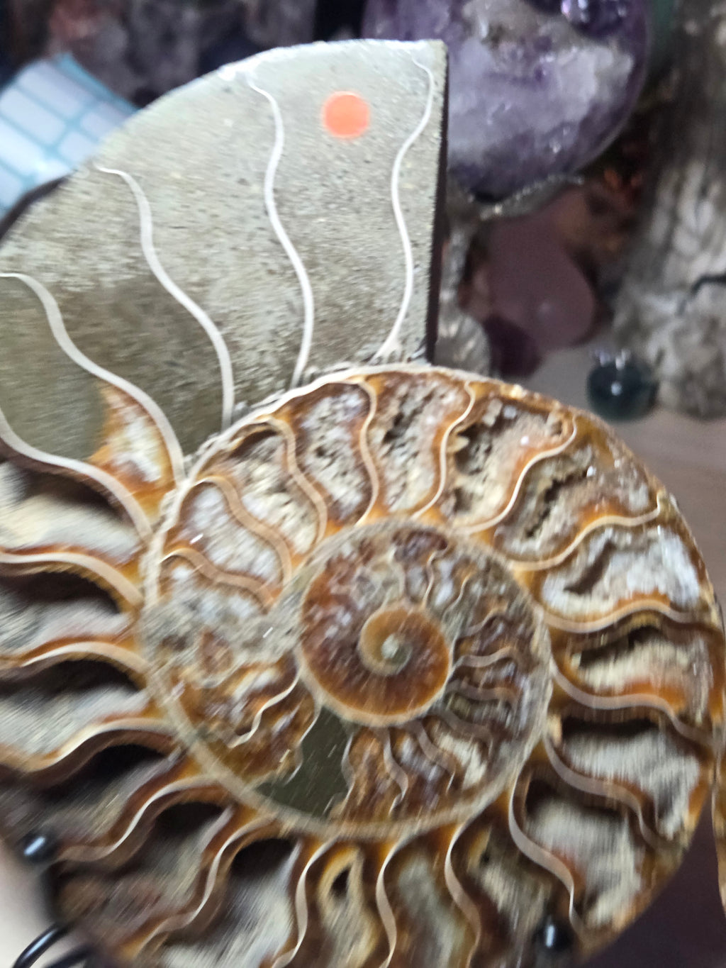 Large Amanite slices with Stands