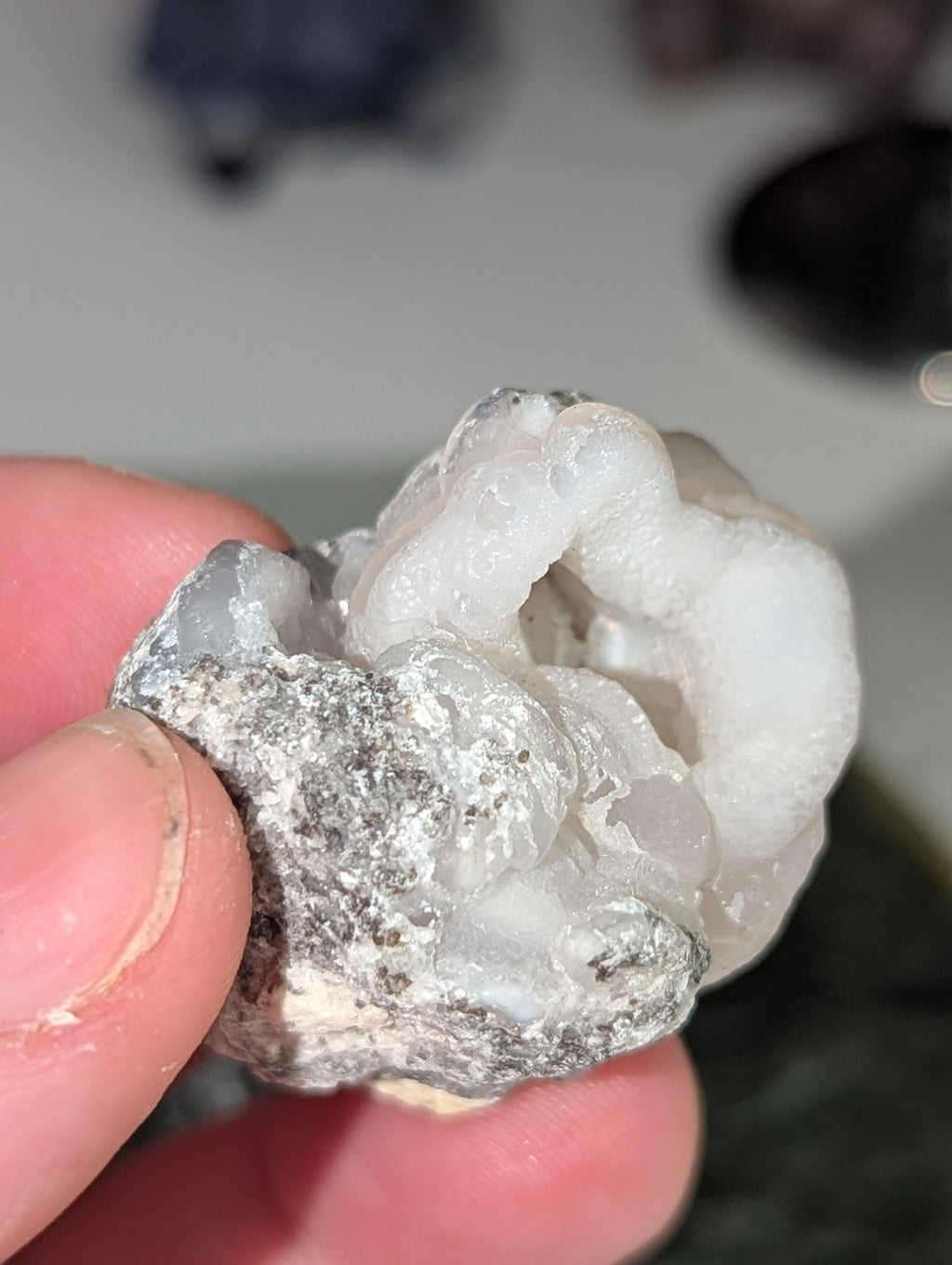 Mexican rose specimen