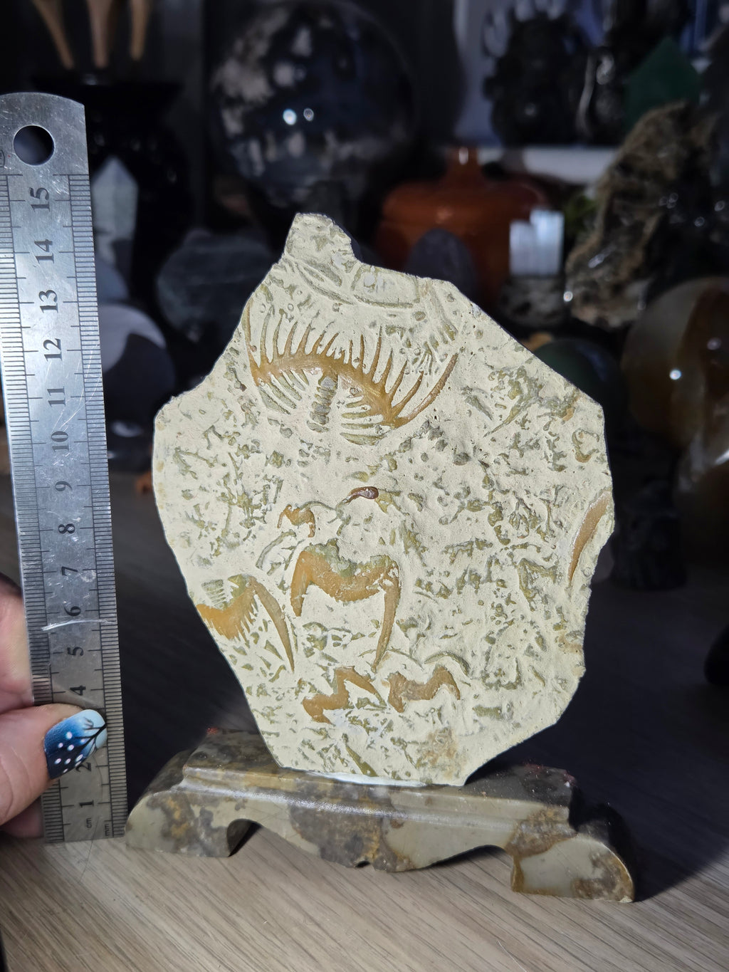 Ancient fossil arthropods called trilobites slab on jade stand