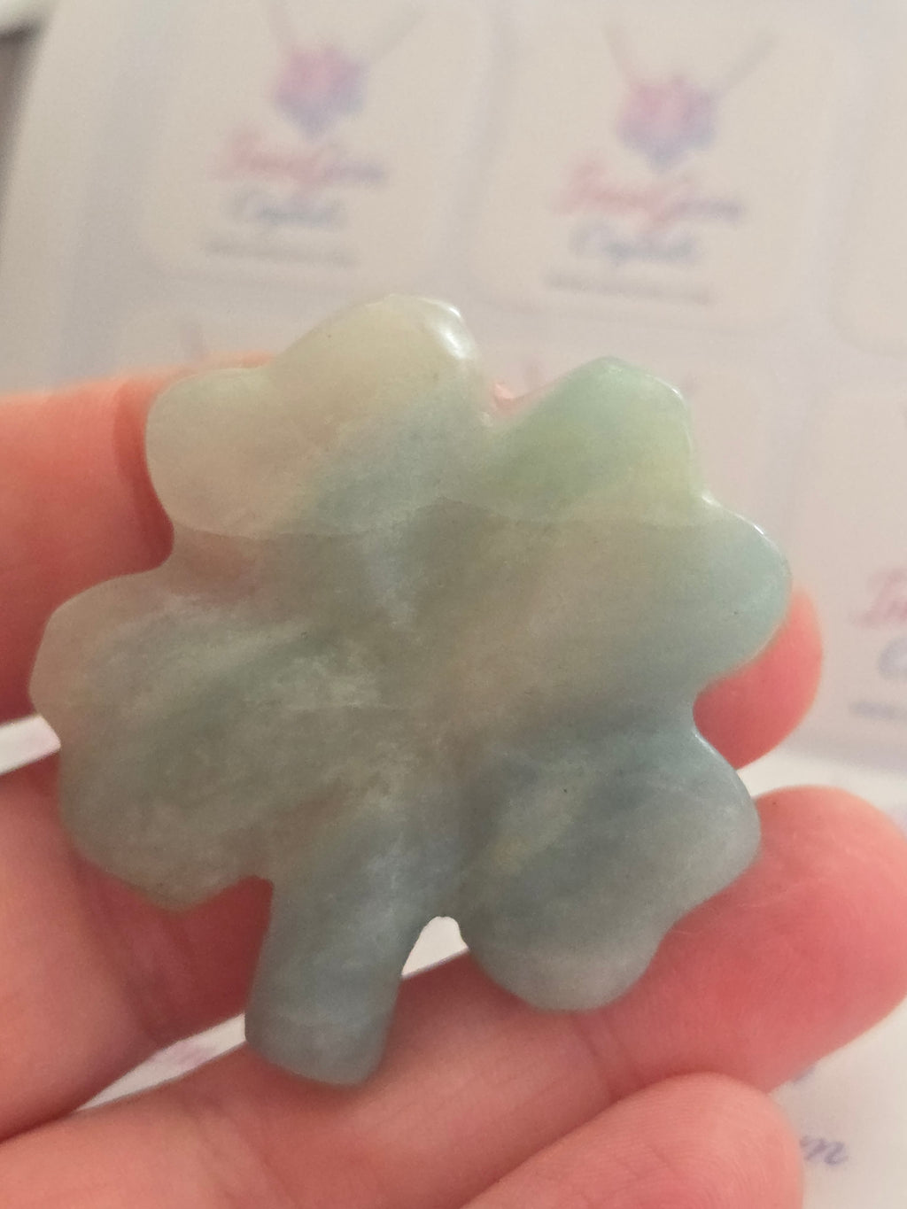 Blue jade 4 leaf clover ☘️