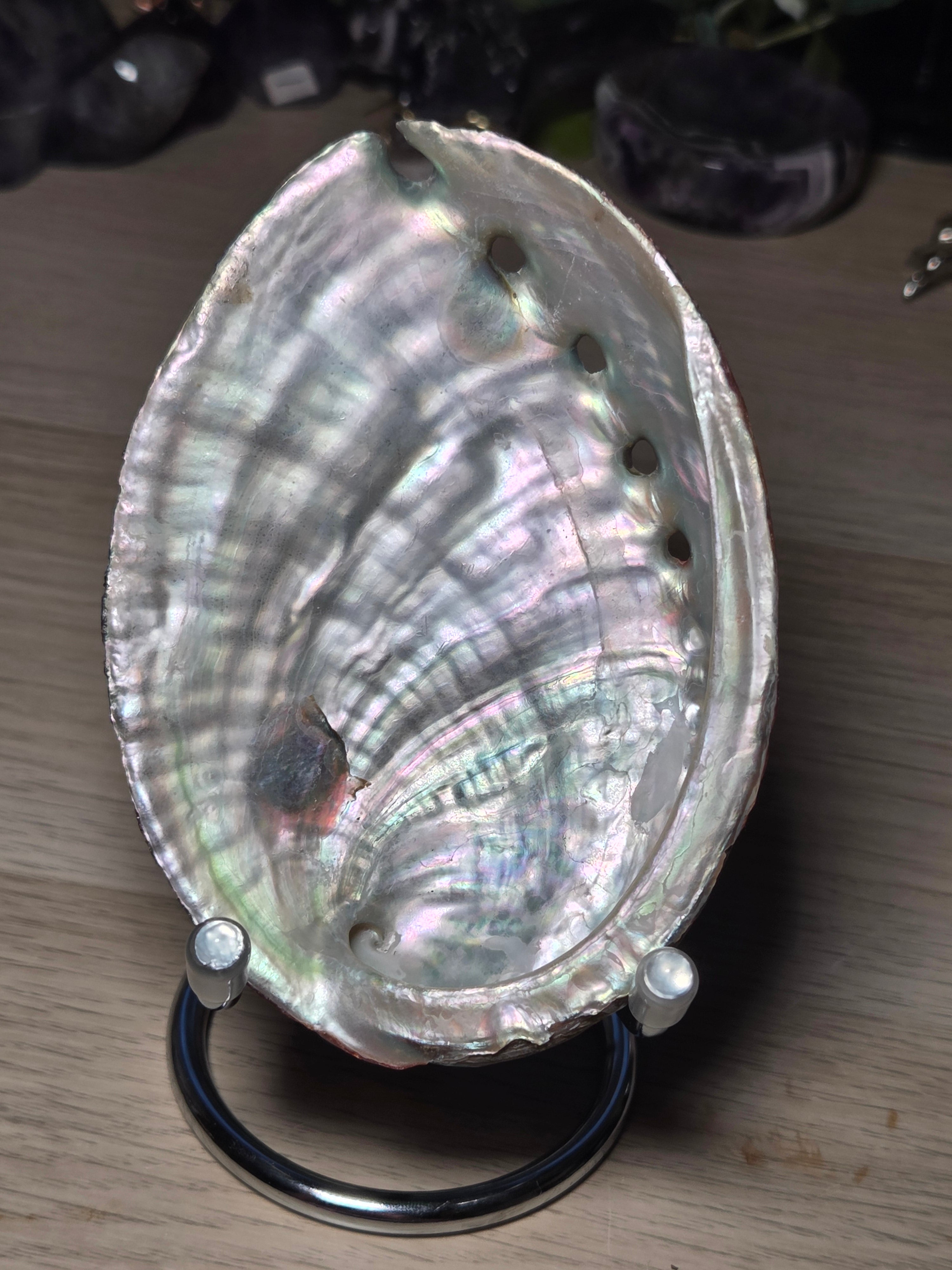 Aberlone Shell