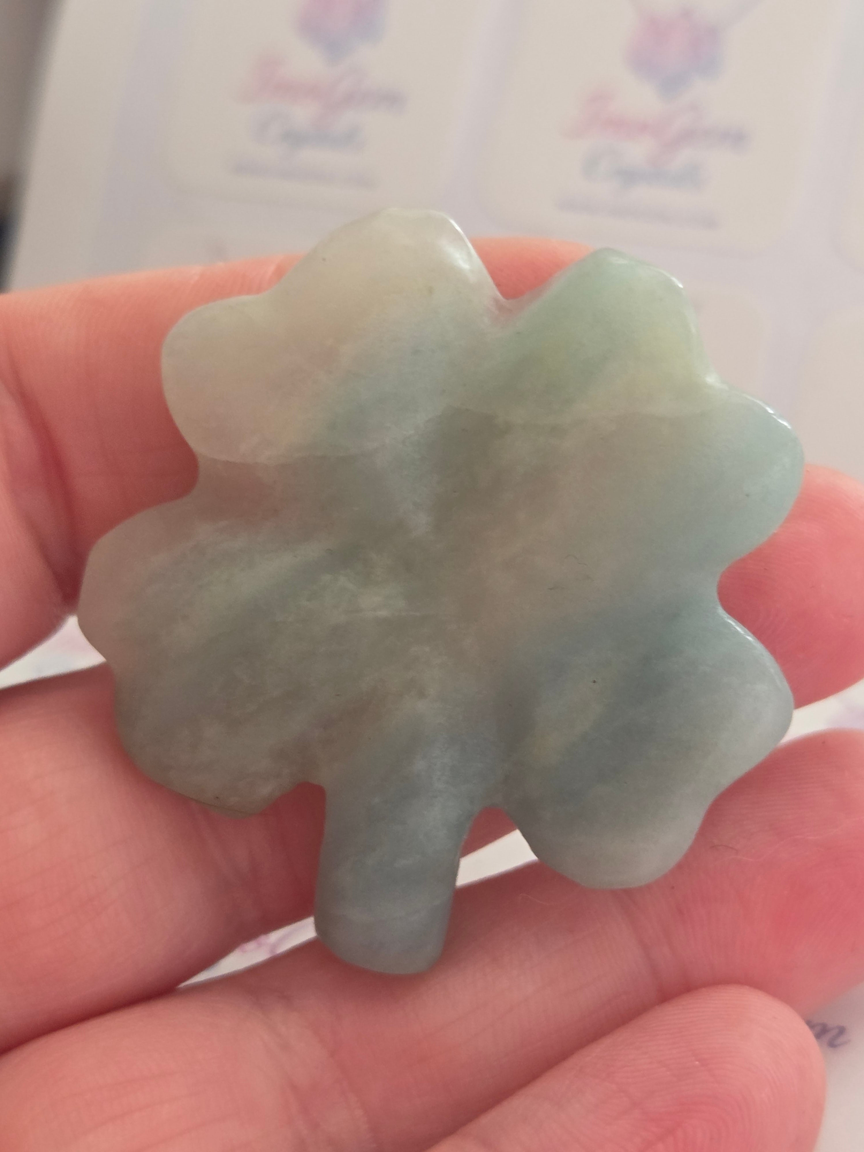 Blue jade 4 leaf clover ☘️