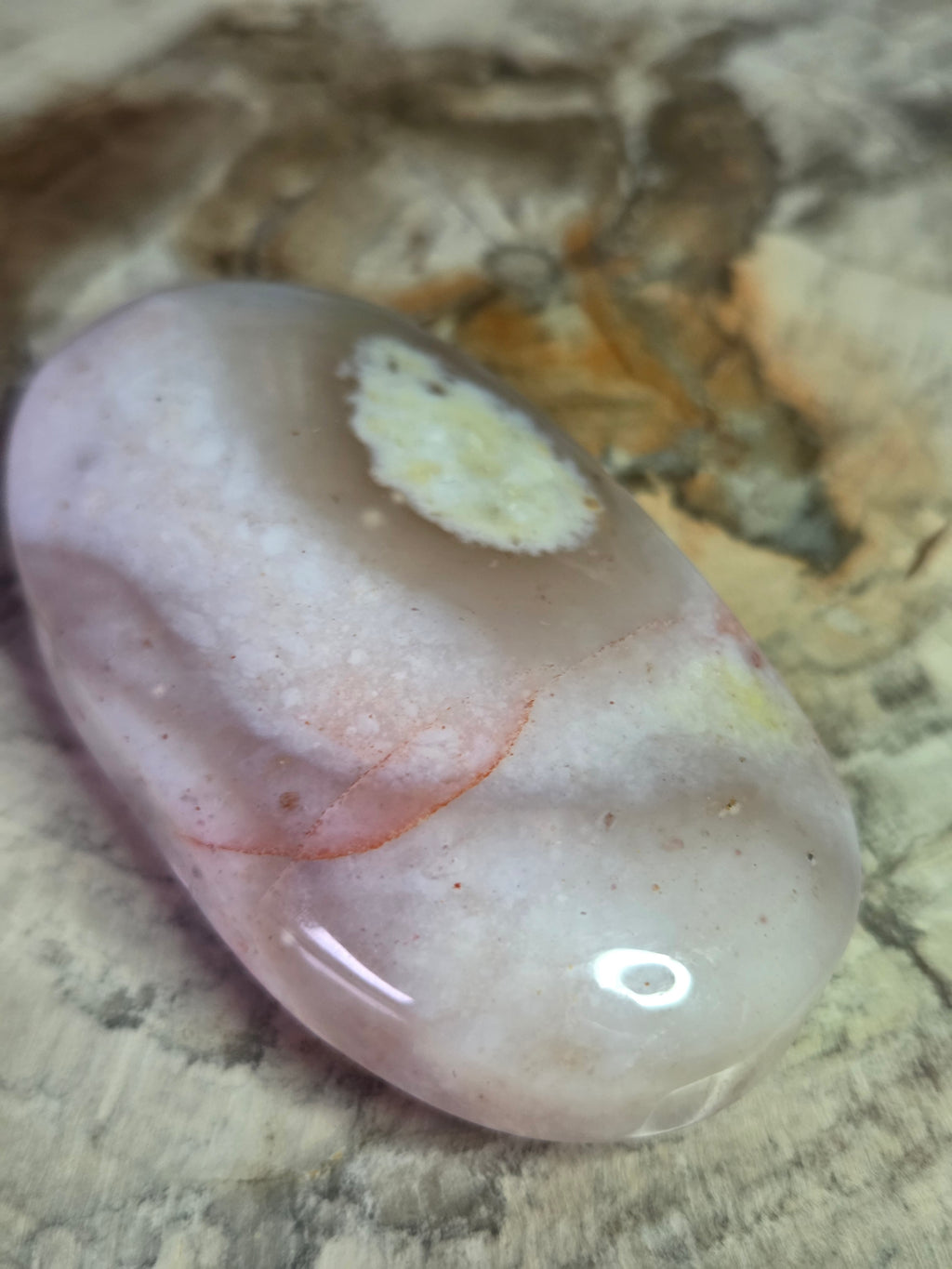 Pink petrified wood crystal palm stone