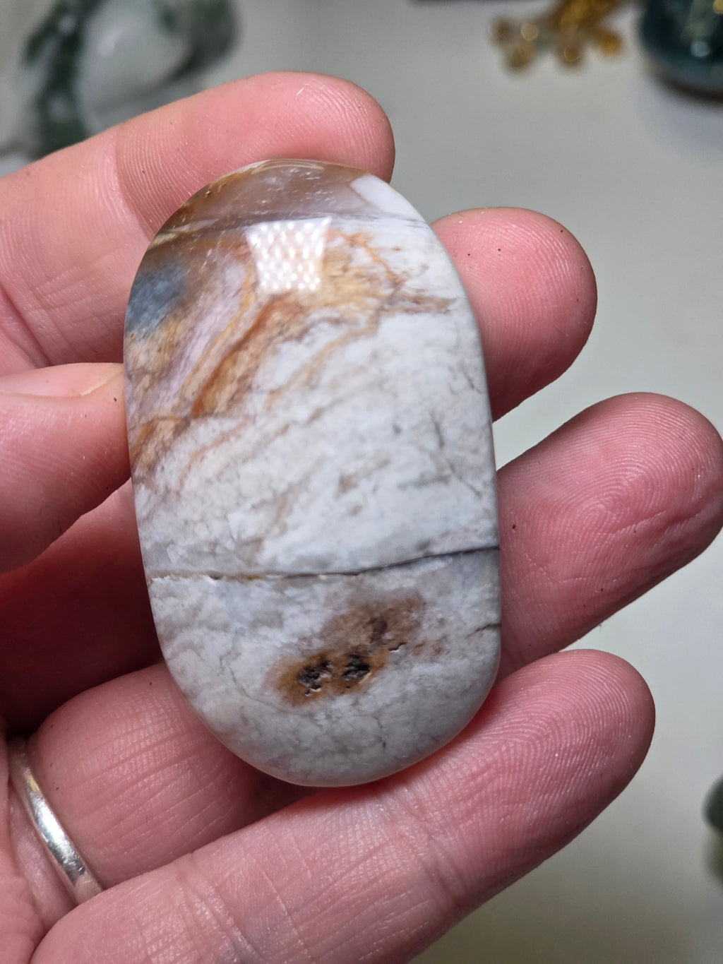 Pink petrified wood crystal palm stone