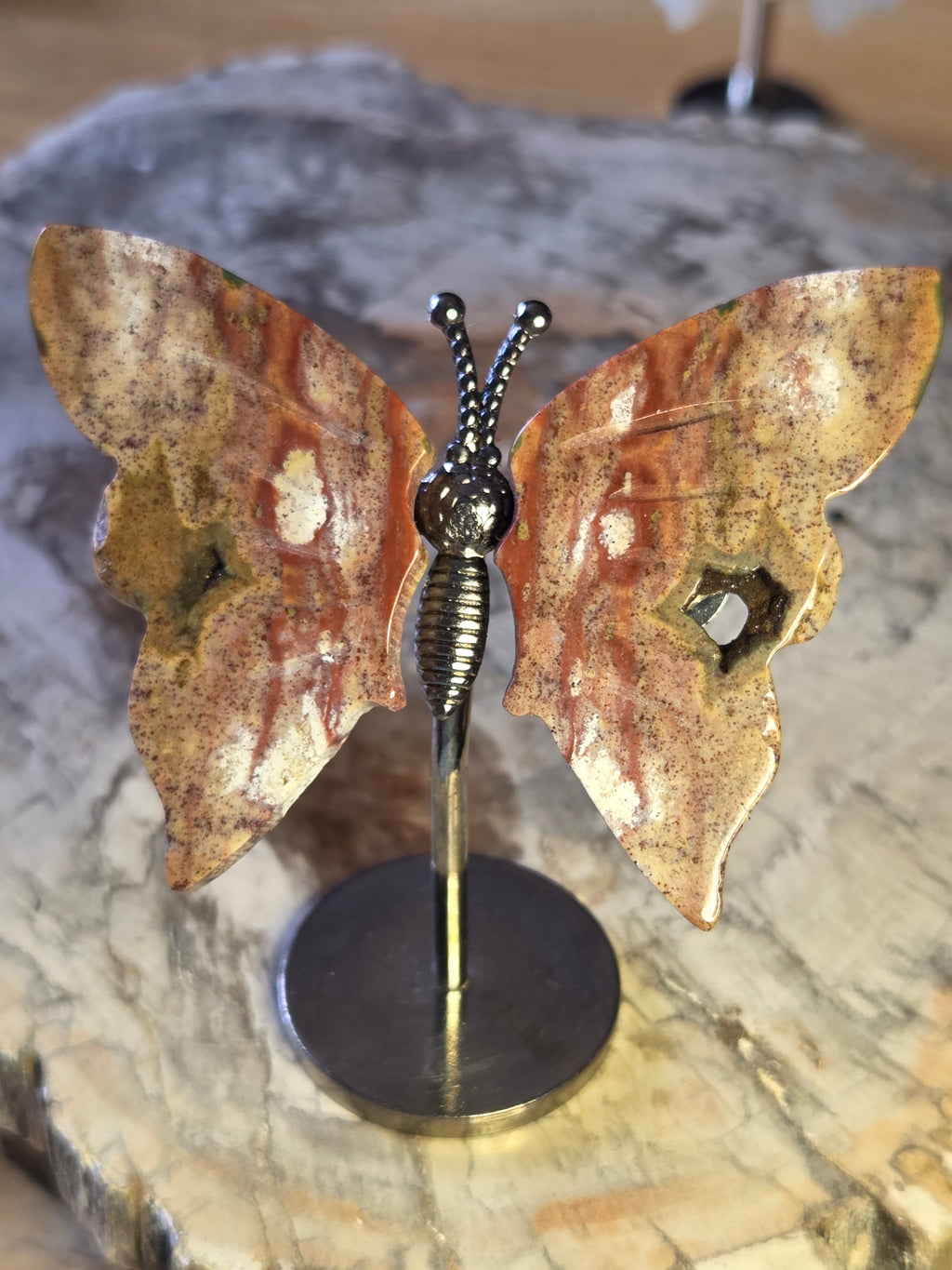 Ocean Jasper crystal butterfly
